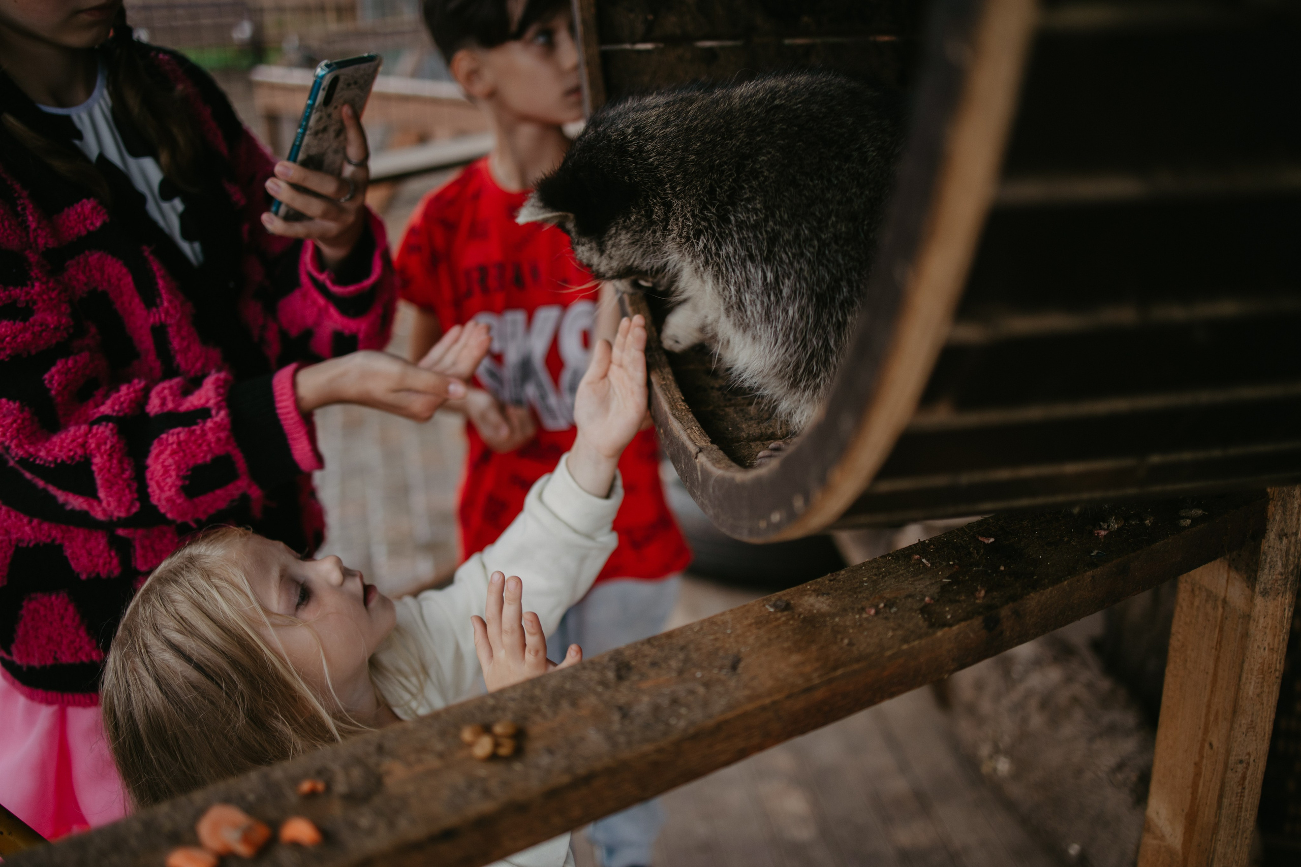 Лера 2 годика. Репортажный и портретный фотограф в Санктпетербурге. Видиосъемка мероприятий в Санкт-Петербурге