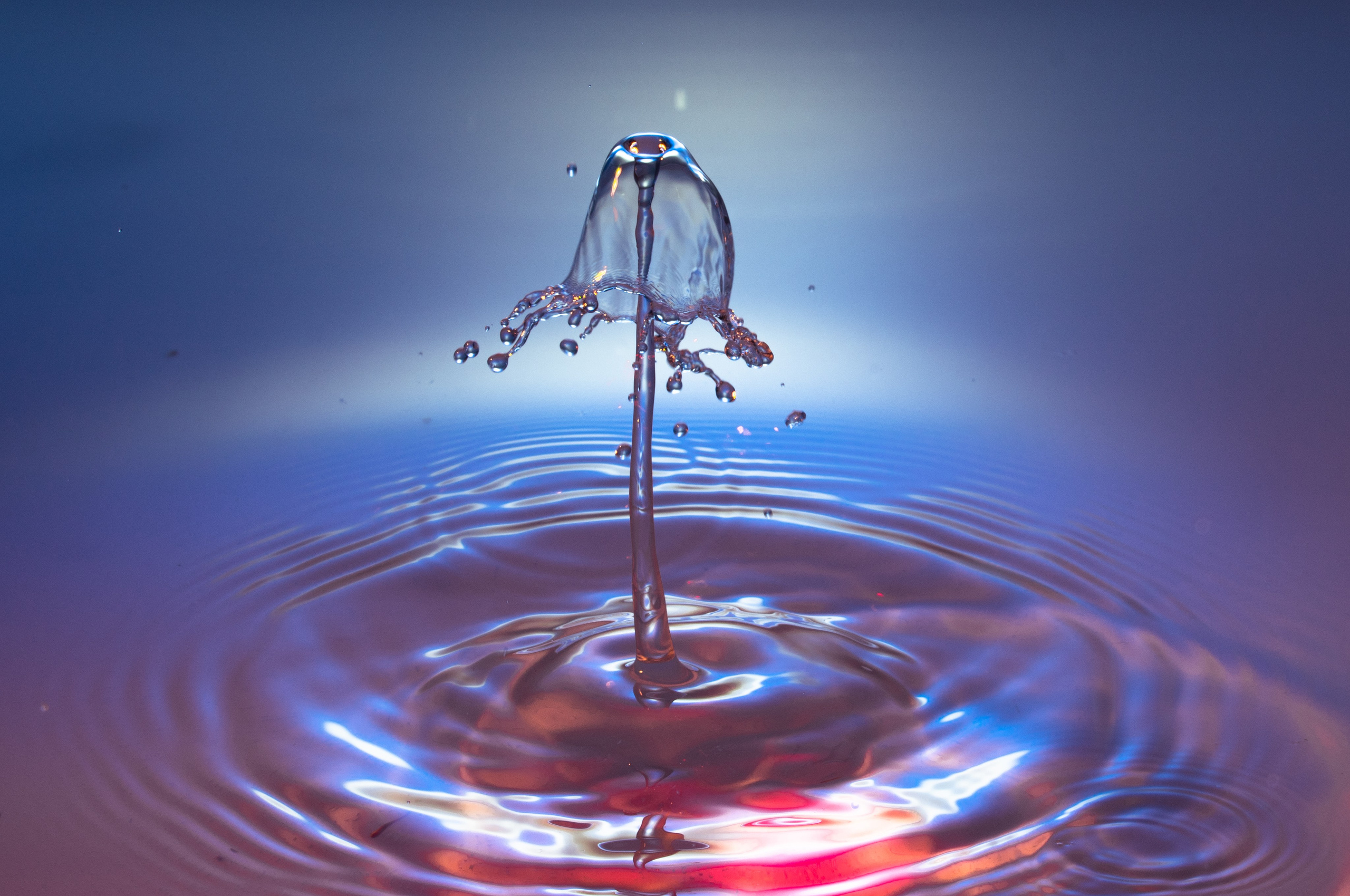 На досуге. Фотограф в Вязьме