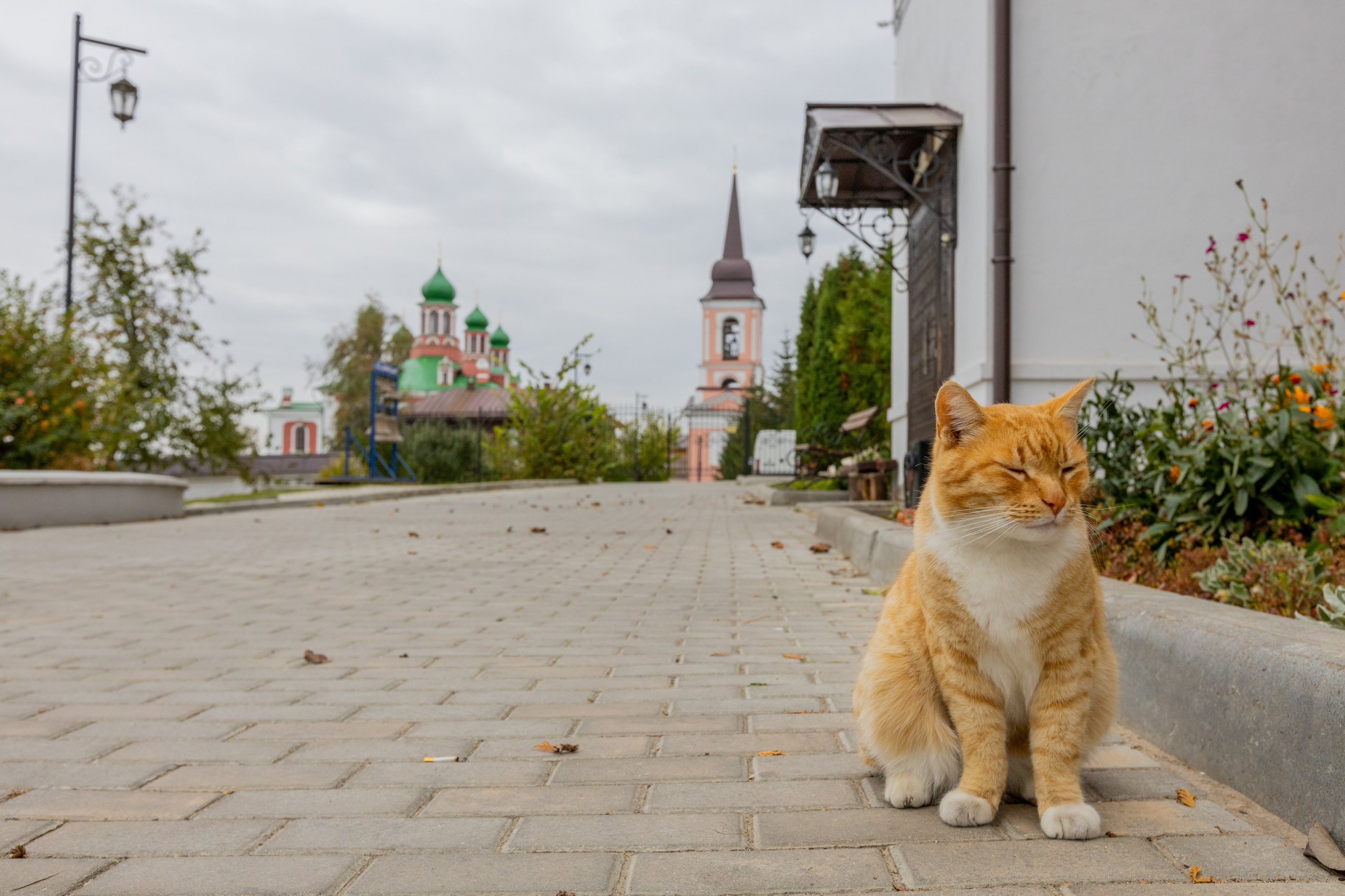 Поездка в Белев и на производство пастилы. Фотограф в Туле Крупский АнДРей. Фотостудия «КАДР71» в Туле
