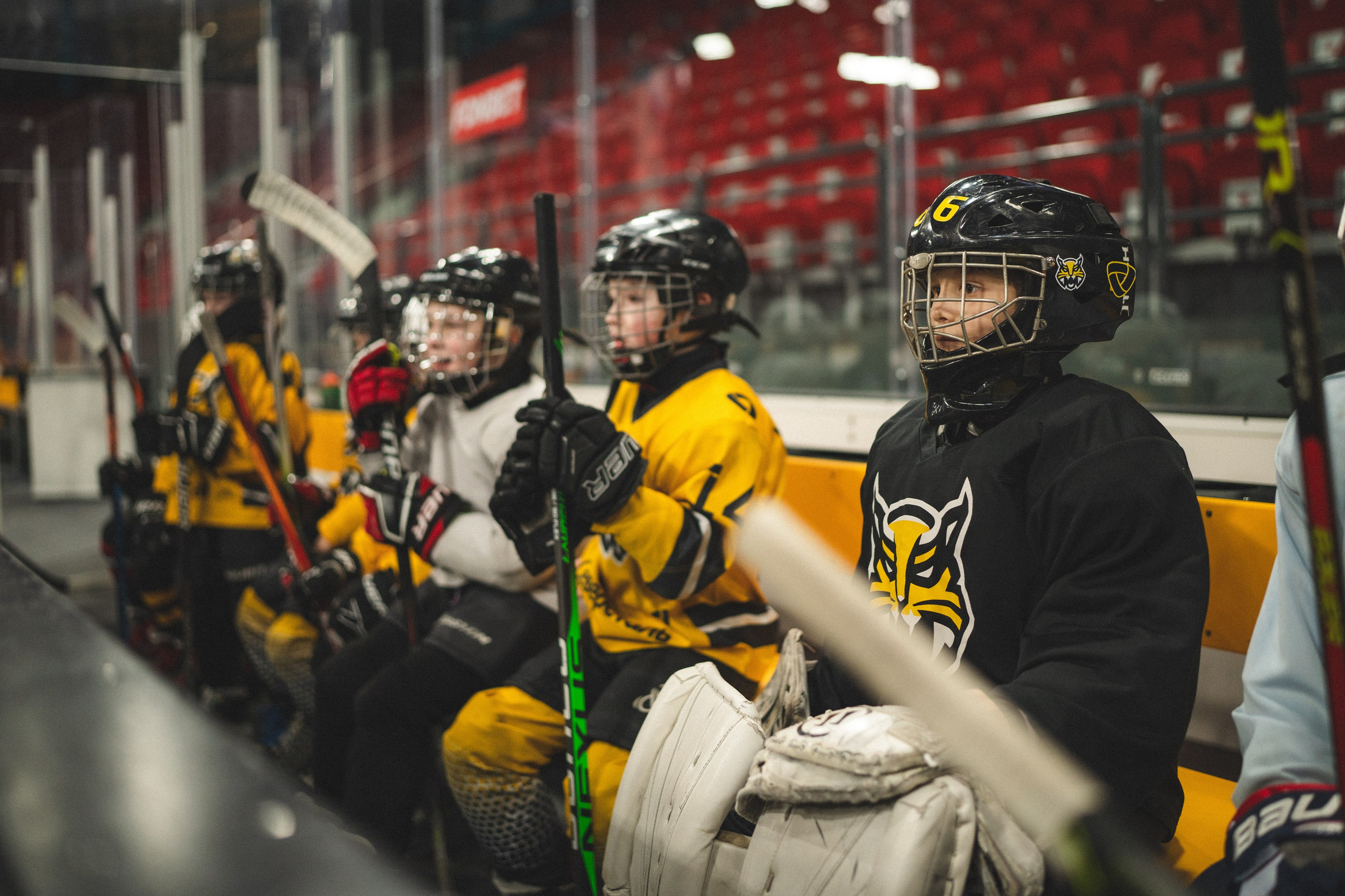 ХК Северсталь (младшая группа). Череповец. Zekons. Фото, видео, нейросети