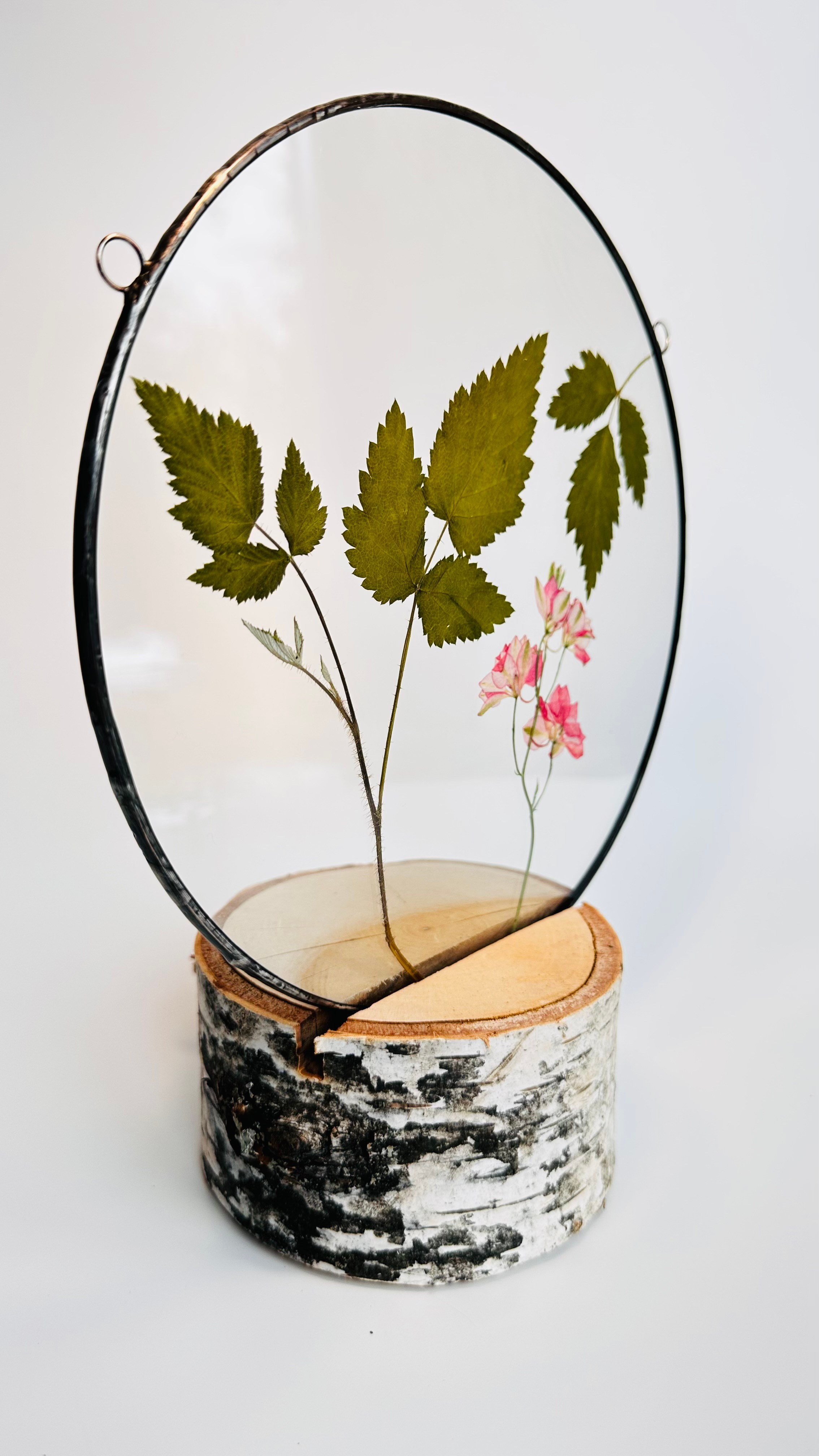 Гербарий в стекле с сухоцветами (витраж в технике тиффани). Гербарий в стекле, интерьерные панно, витражи с сухоцветами в технике тиффани