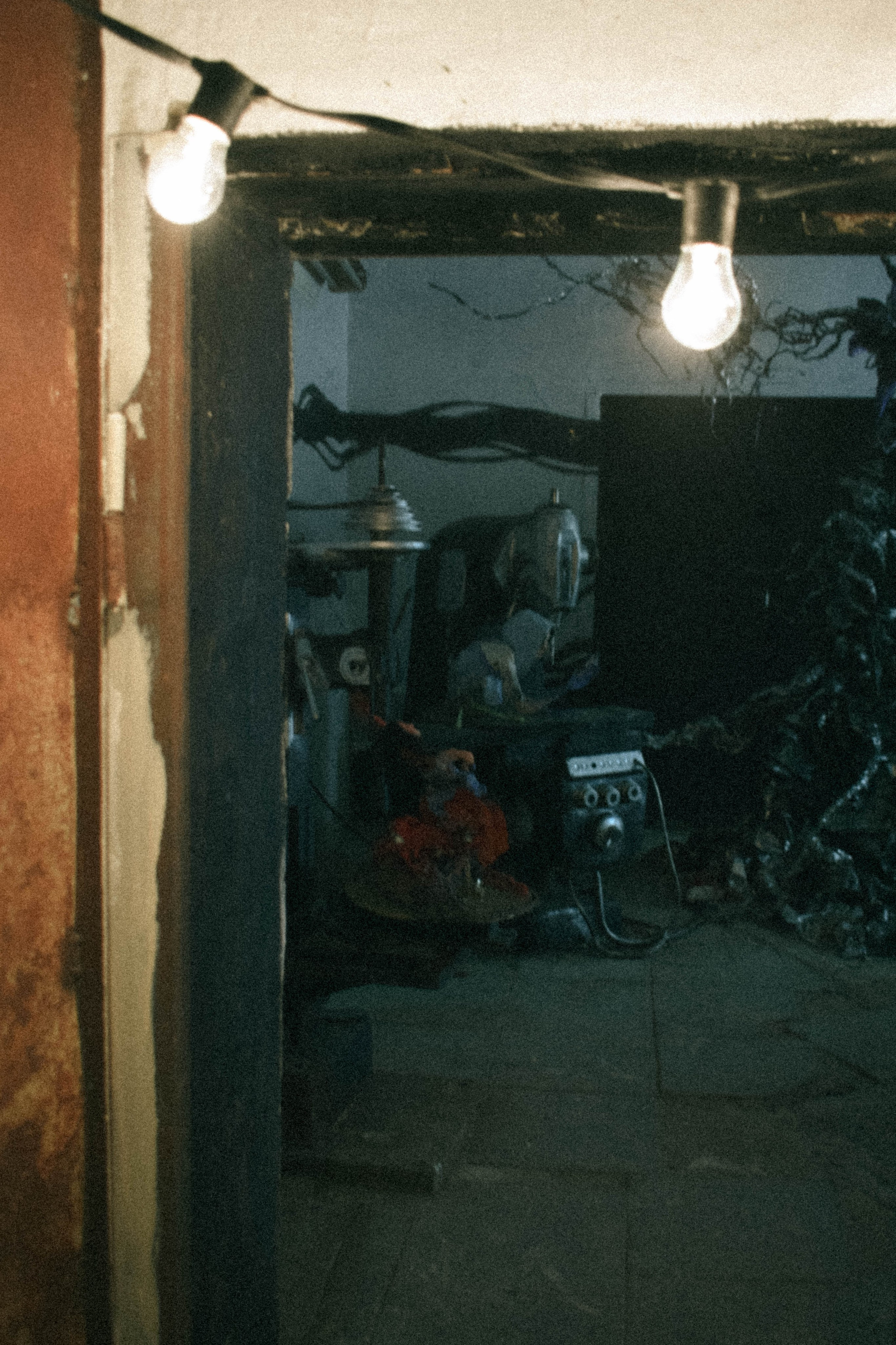 Мероприятия. Соня Мнема