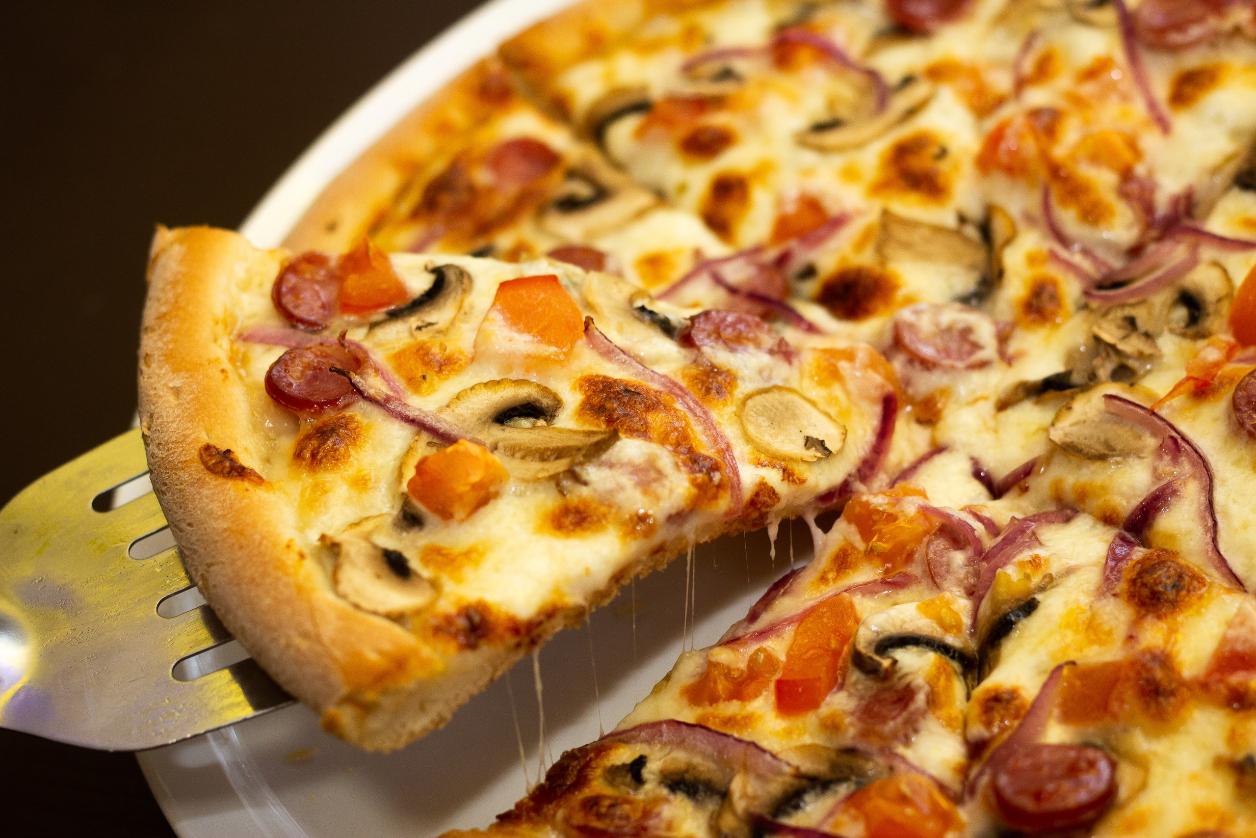 Кафе «Ролик». Фотограф Великий Новгород Татьяна Чиглинцева