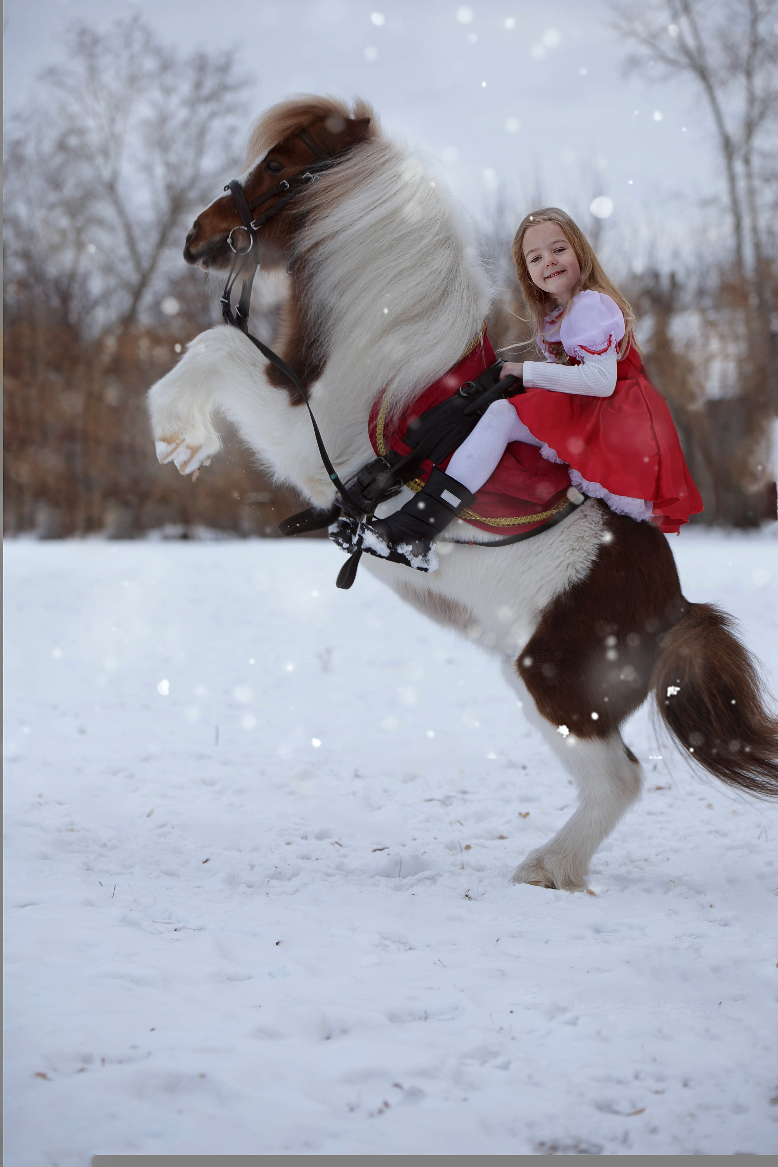 КрылатыйПони. Конный фотограф в Красноярске — Любовь Похабова
