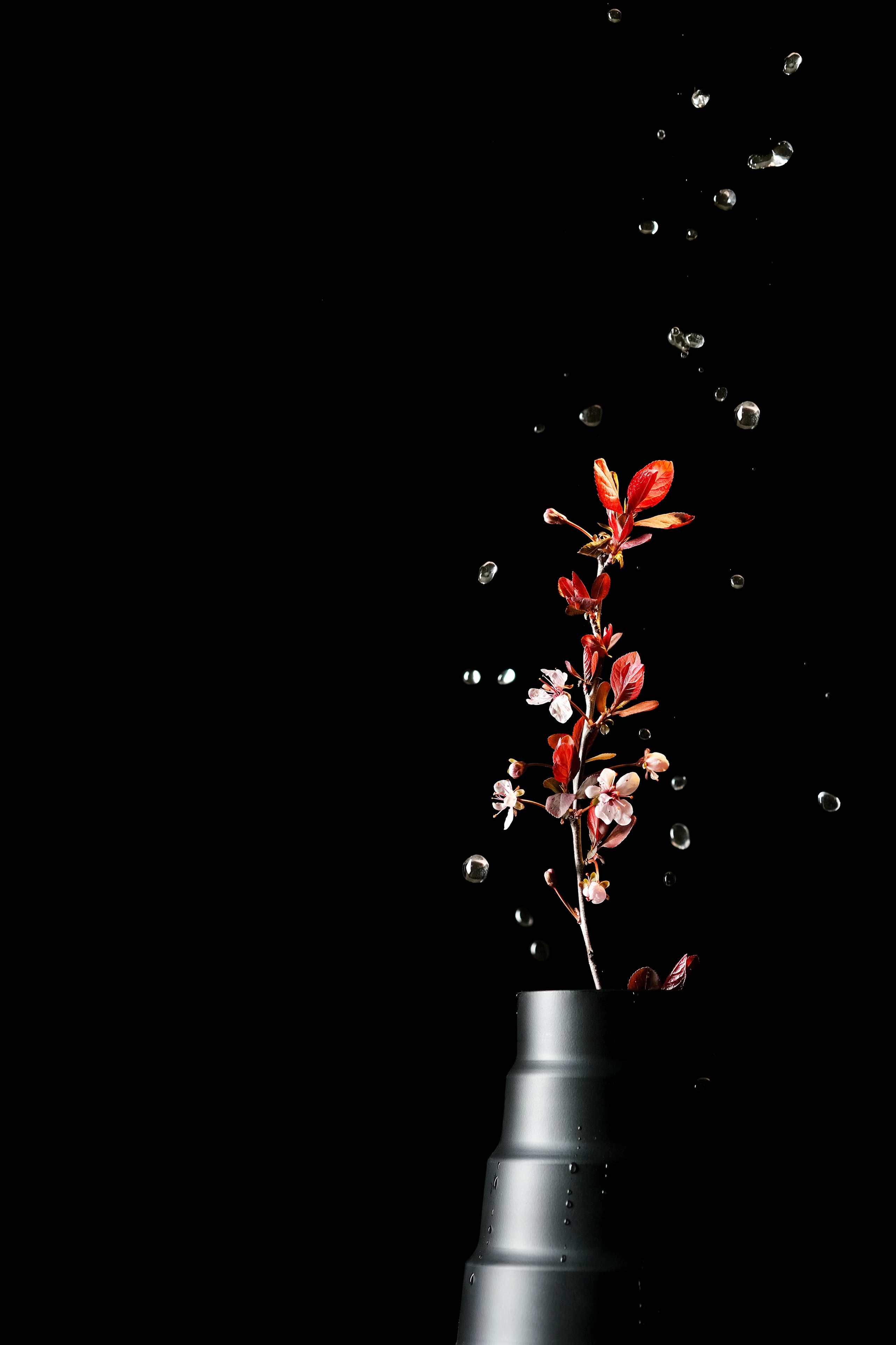 Съемка со спецэффектами. Предметный фотограф в Краснодаре