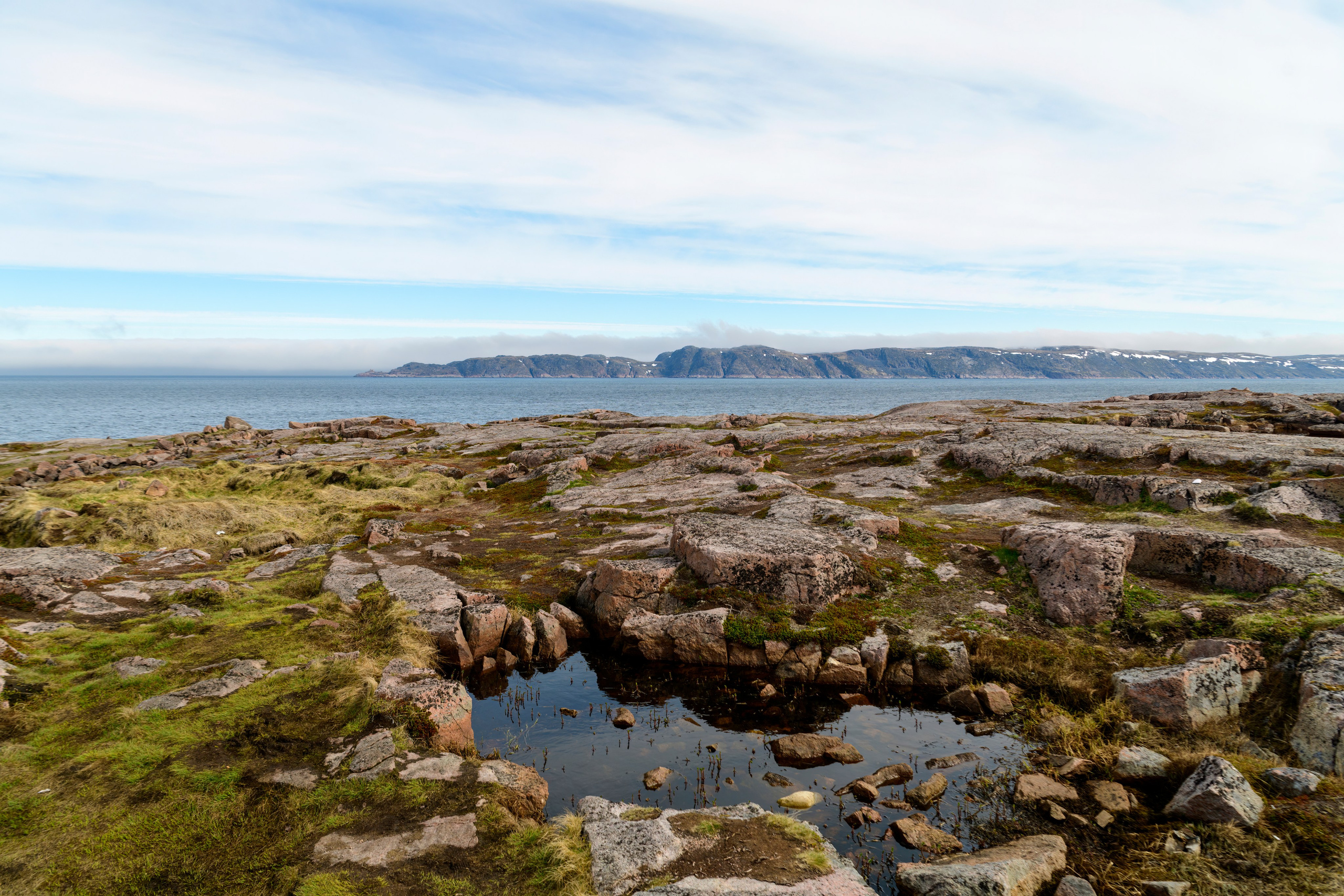 Мурманская область. Июнь 2024. Фотограф Сергей Пупонин