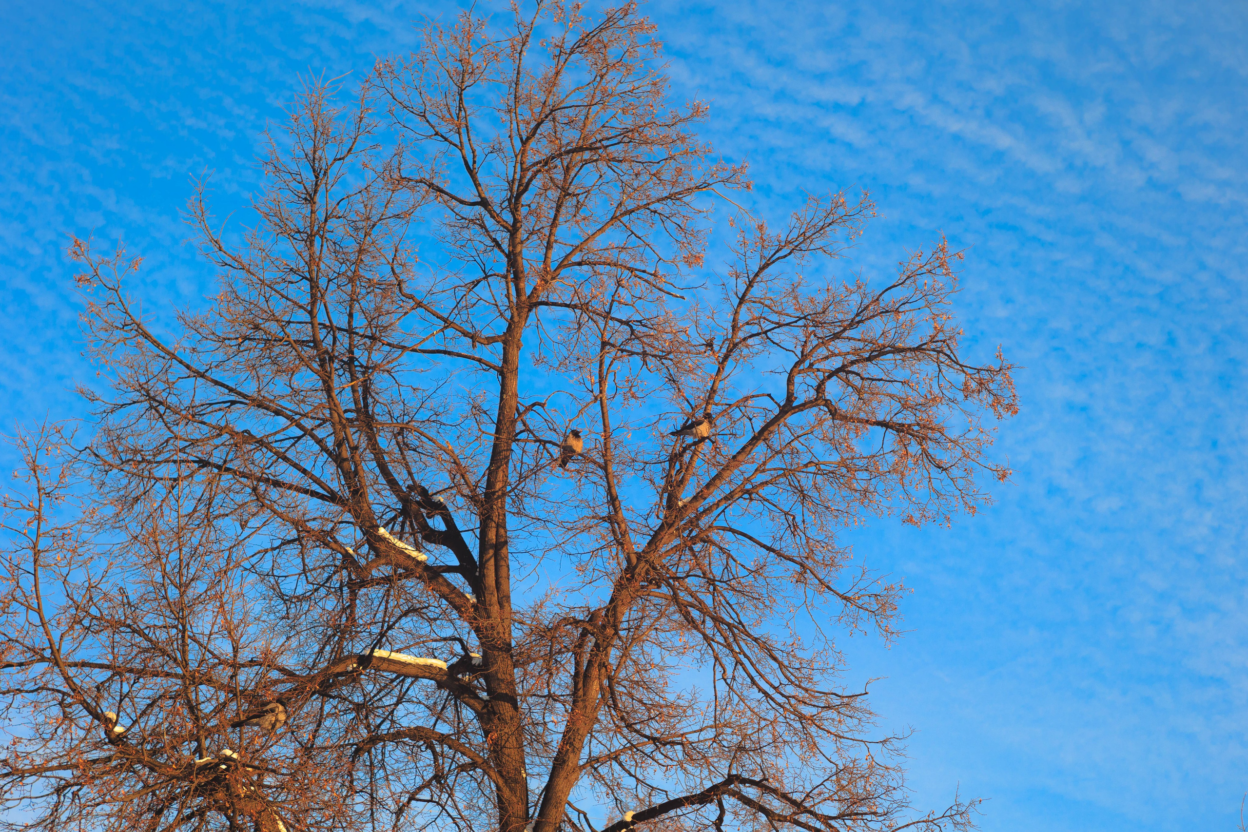 Миасс 24 — 25г. Главная