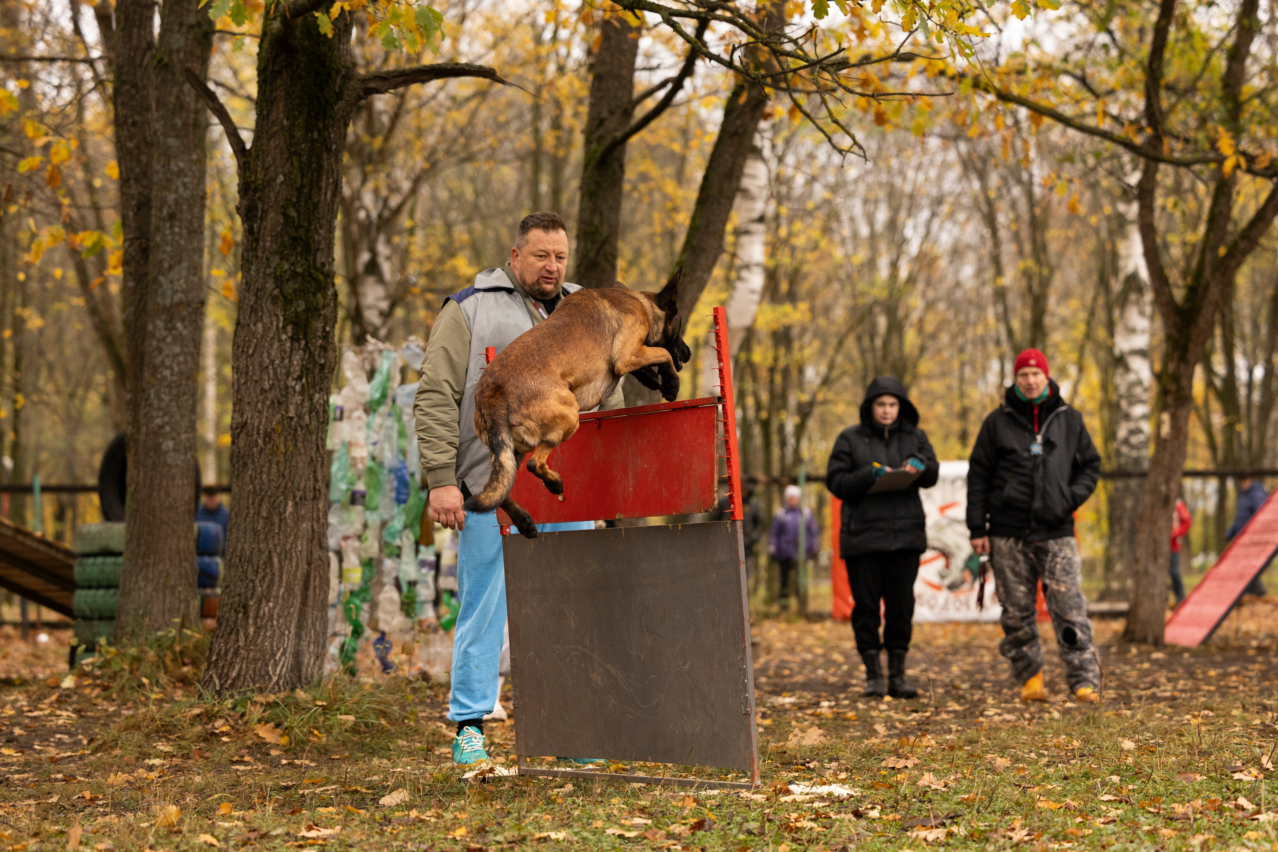 Соревнования по Мондьорингу г. Вологда. Фотограф-анималист Анна Маринич