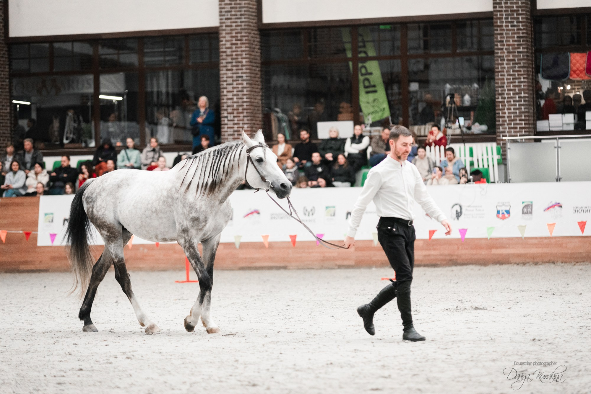 8-я международная выставка Конная Россия. Конный фотограф Куракина Дарья • Фотосессии с лошадьми