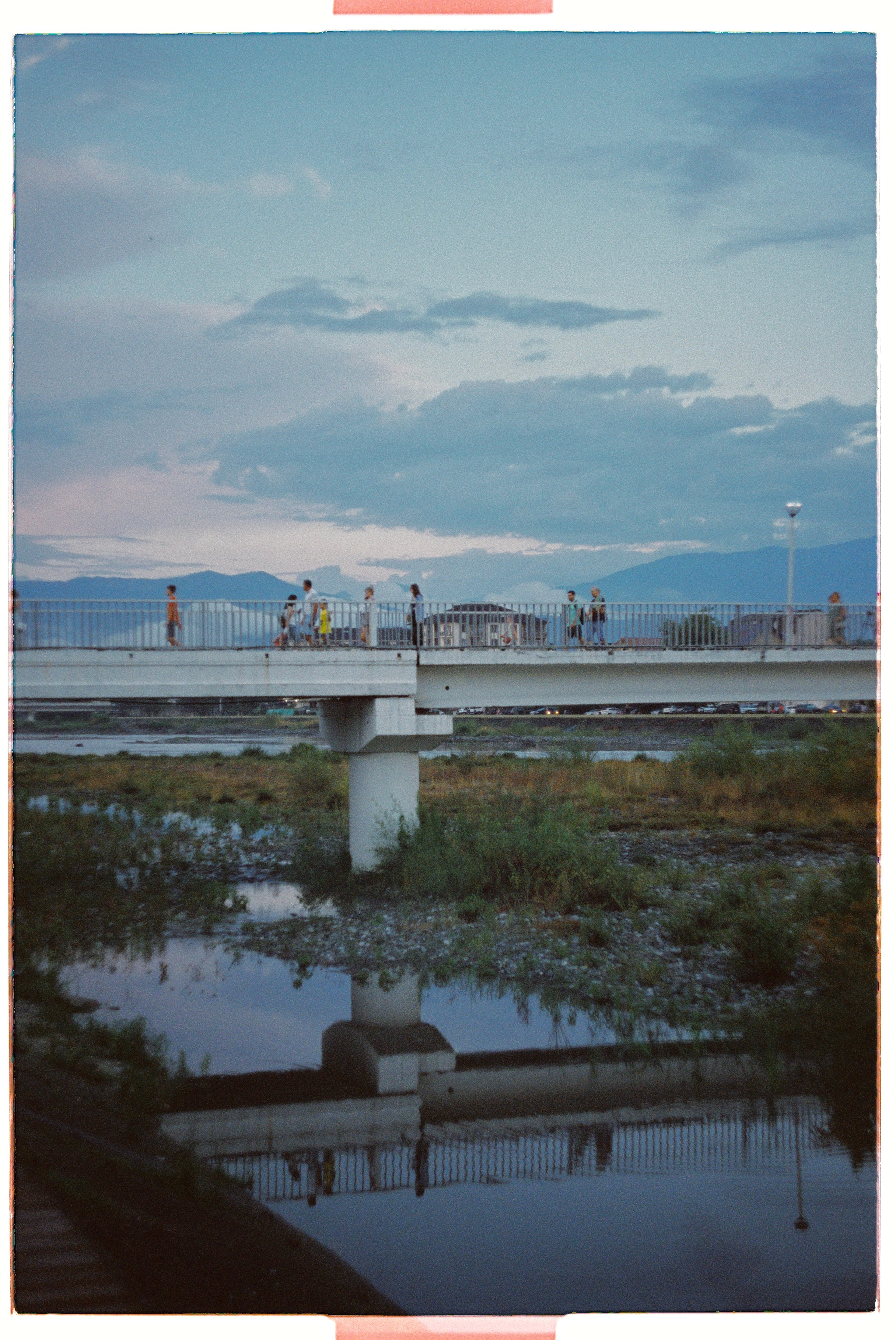 Пленка. Фотограф Синицына Анна