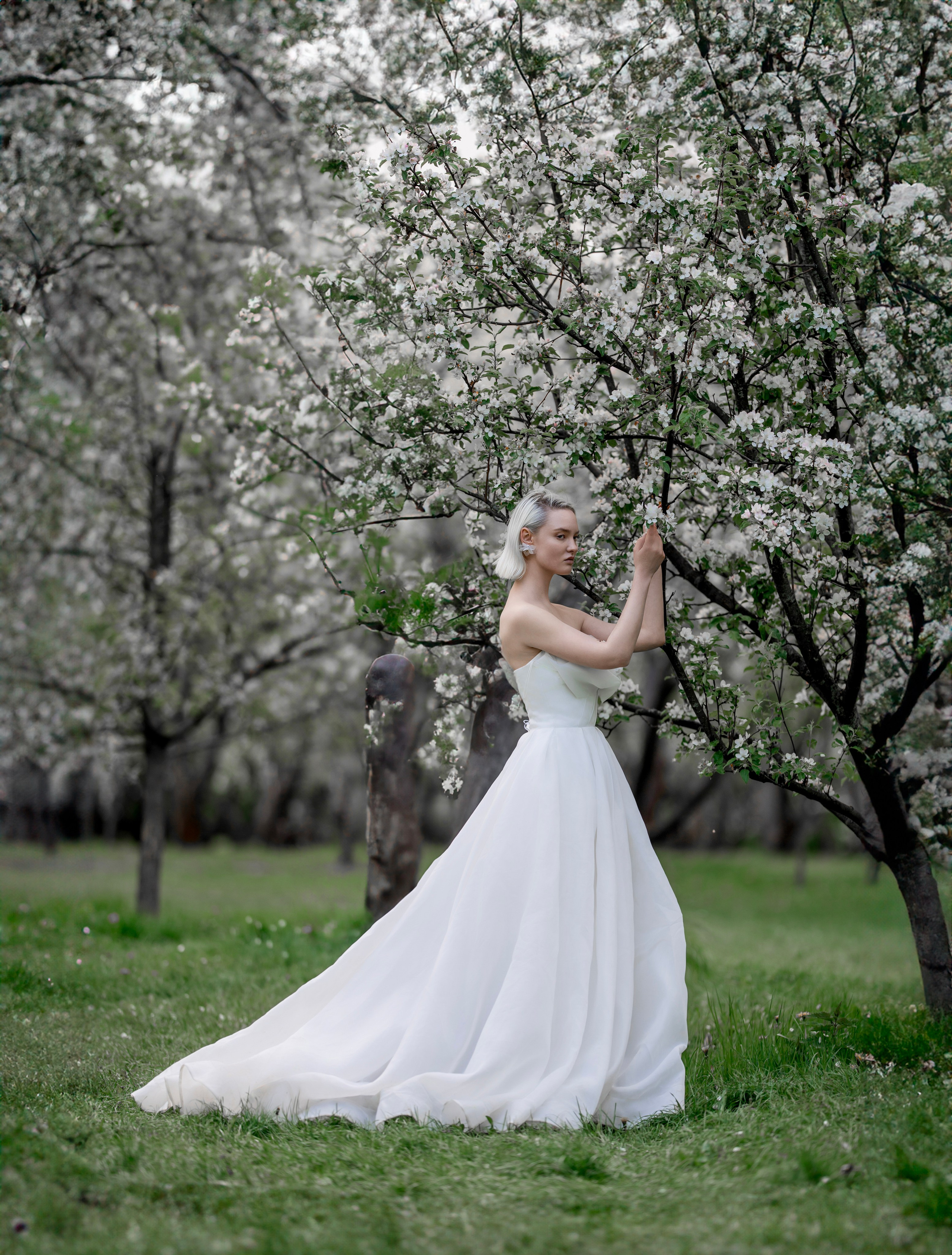 Цветение садов. Профессиональный фотограф в Москве Марина Григорьева