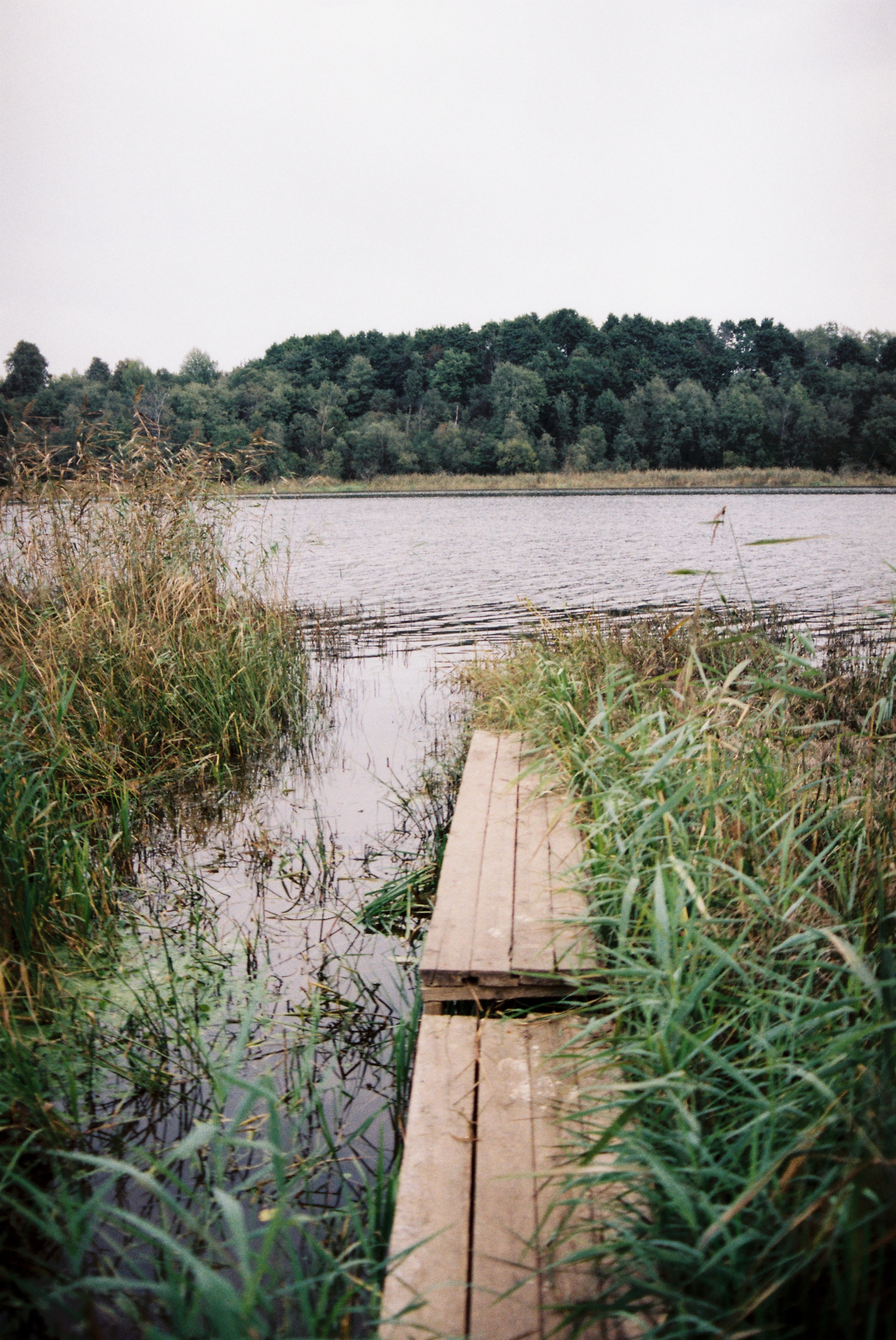 Путешествия. Anastasiia Kron