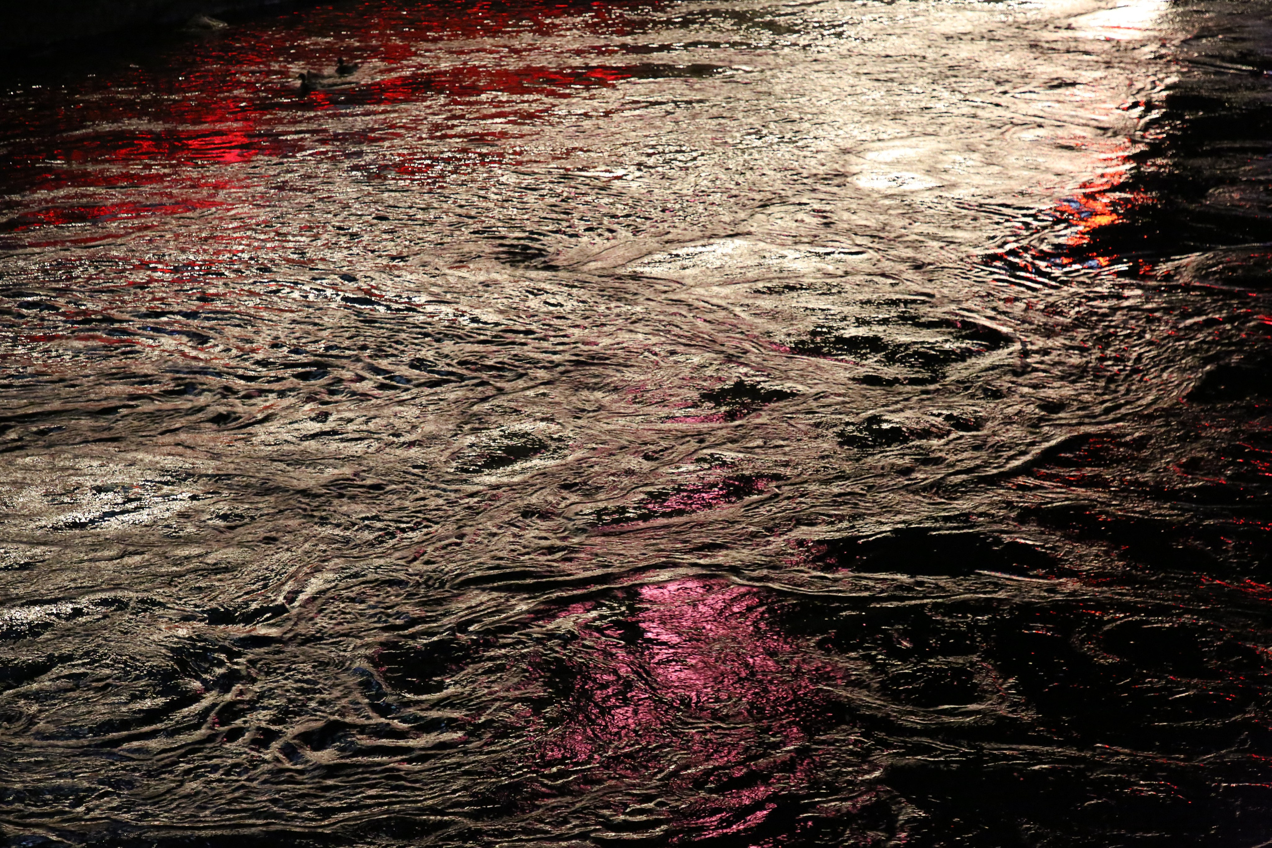 Geneva, Switzerland. Andrey Filippov Photographer