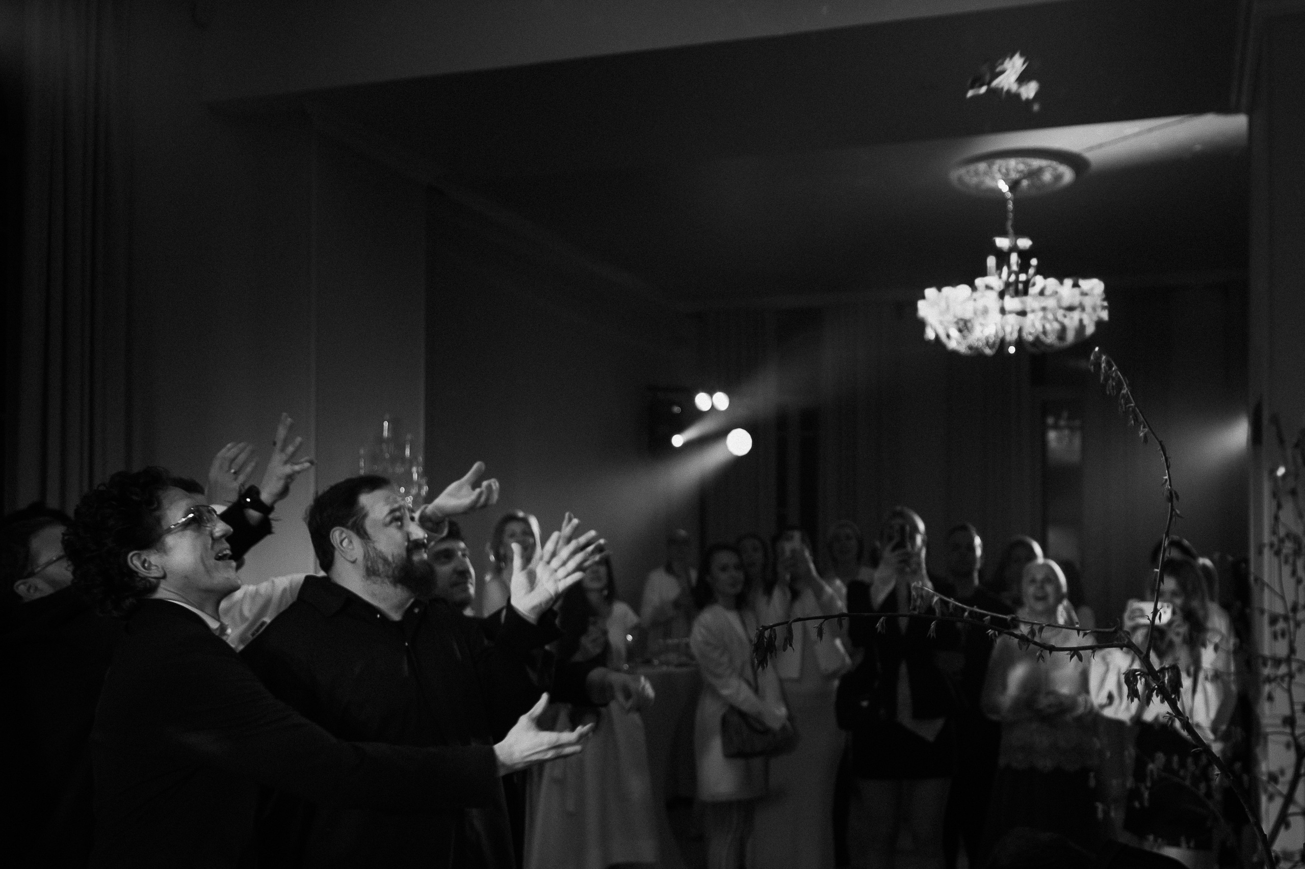 6 лет GREY CHIC. NesterovaMaria.ru