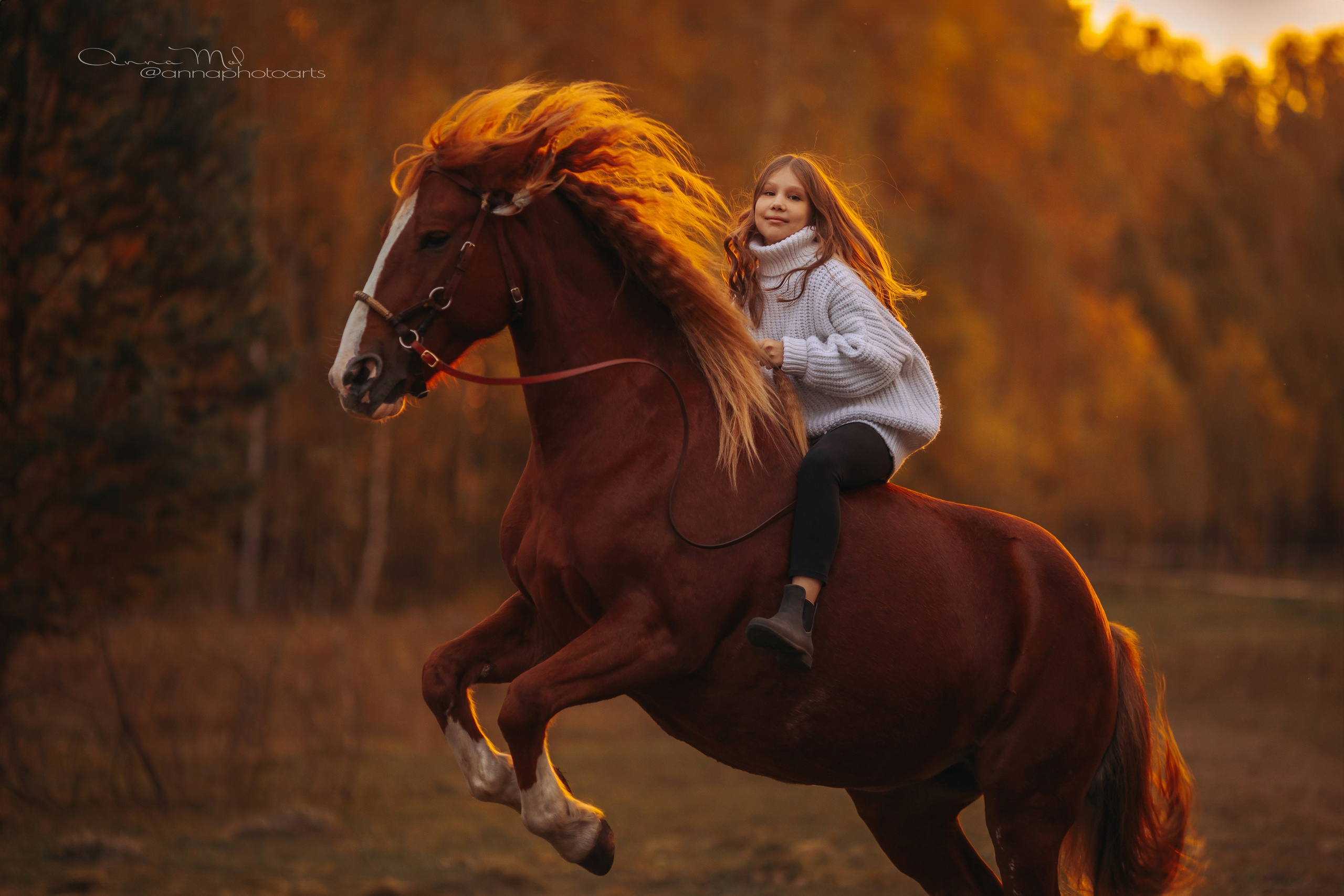 Детские и семейные. Анна Молчанова конный фотограф в Тюмени | фотосессии с лошадьми Тюмень