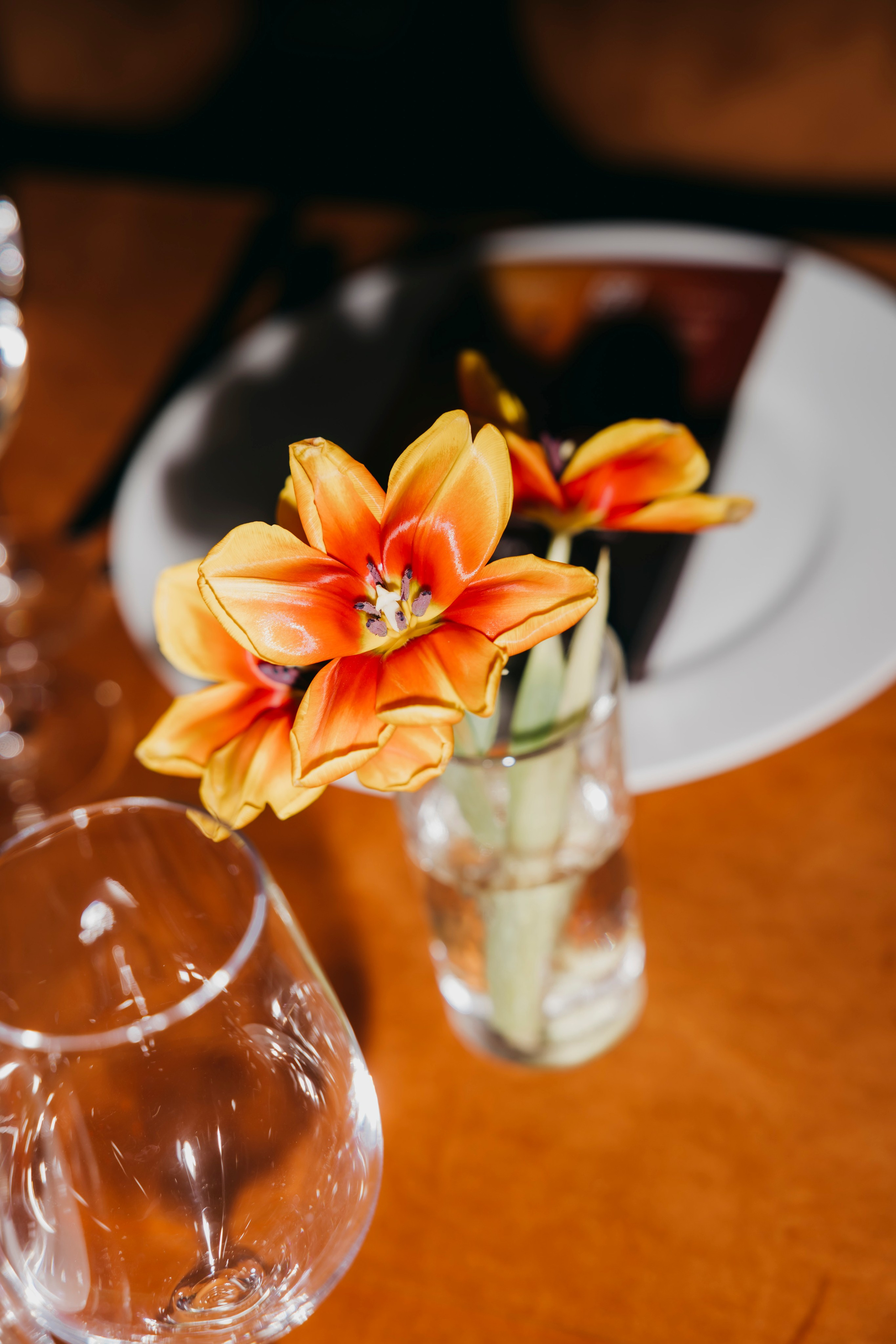 Ужин pre-party Премии «ЖАРА» & the VOICE mag. «Птичка на проводе»: информационный портал в Москве