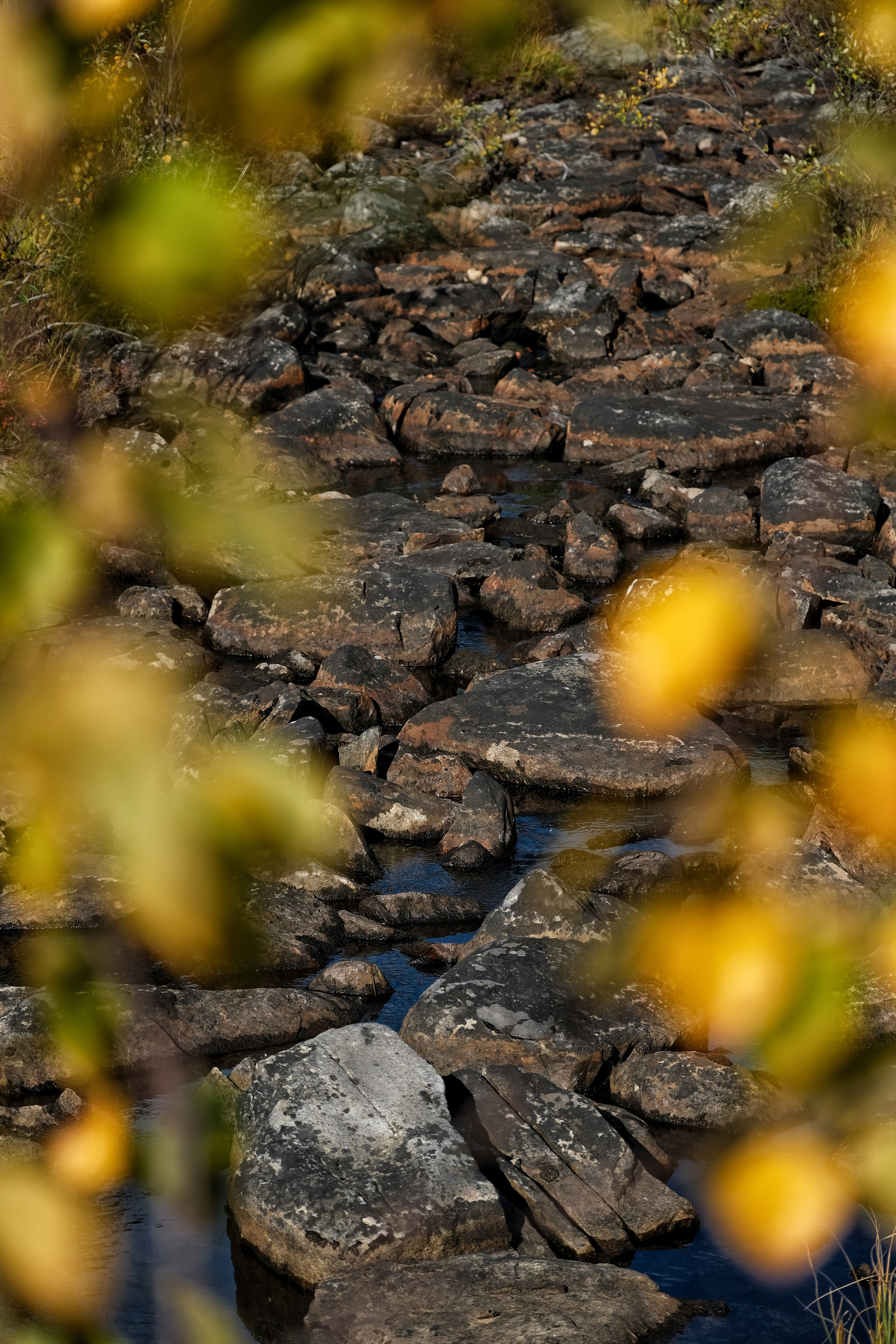 Мурманская область. Фотограф Евгений Андреев