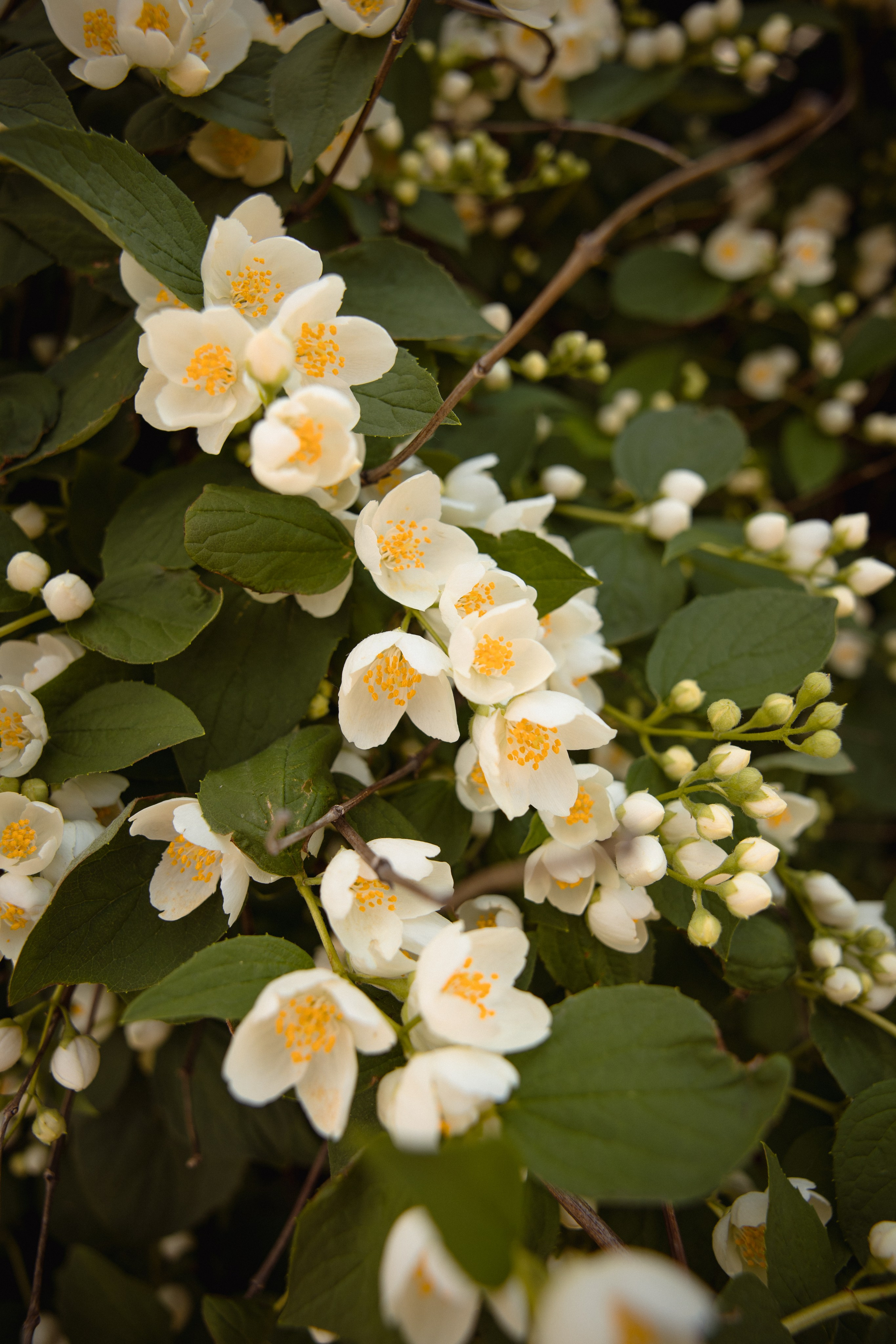 Настя с сыном у Alma-Mater. Ваш семейный newborn и lifestyle фотограф в СПБ Наталья Журавлева