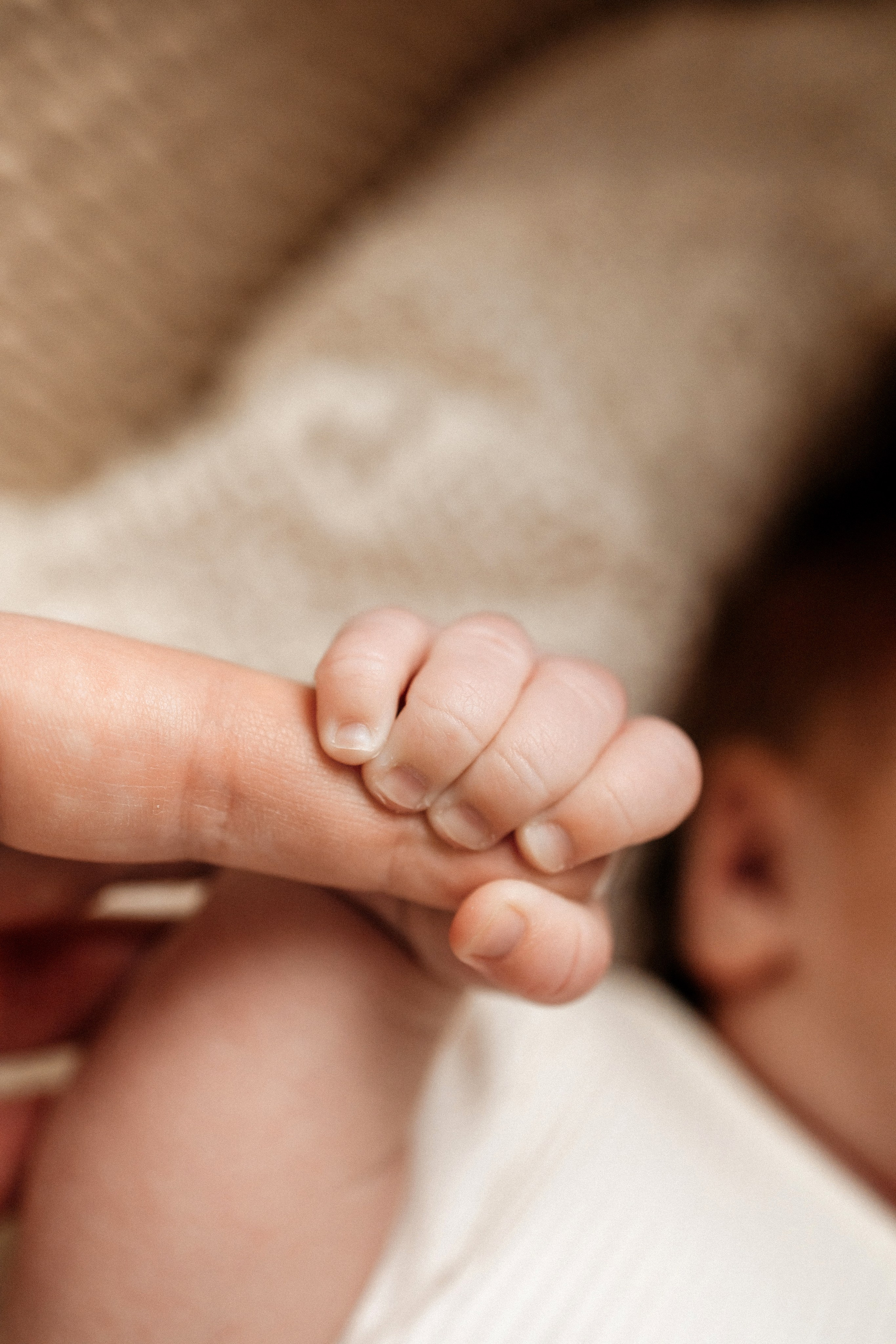 ПАКЕТ «Simple». Главная