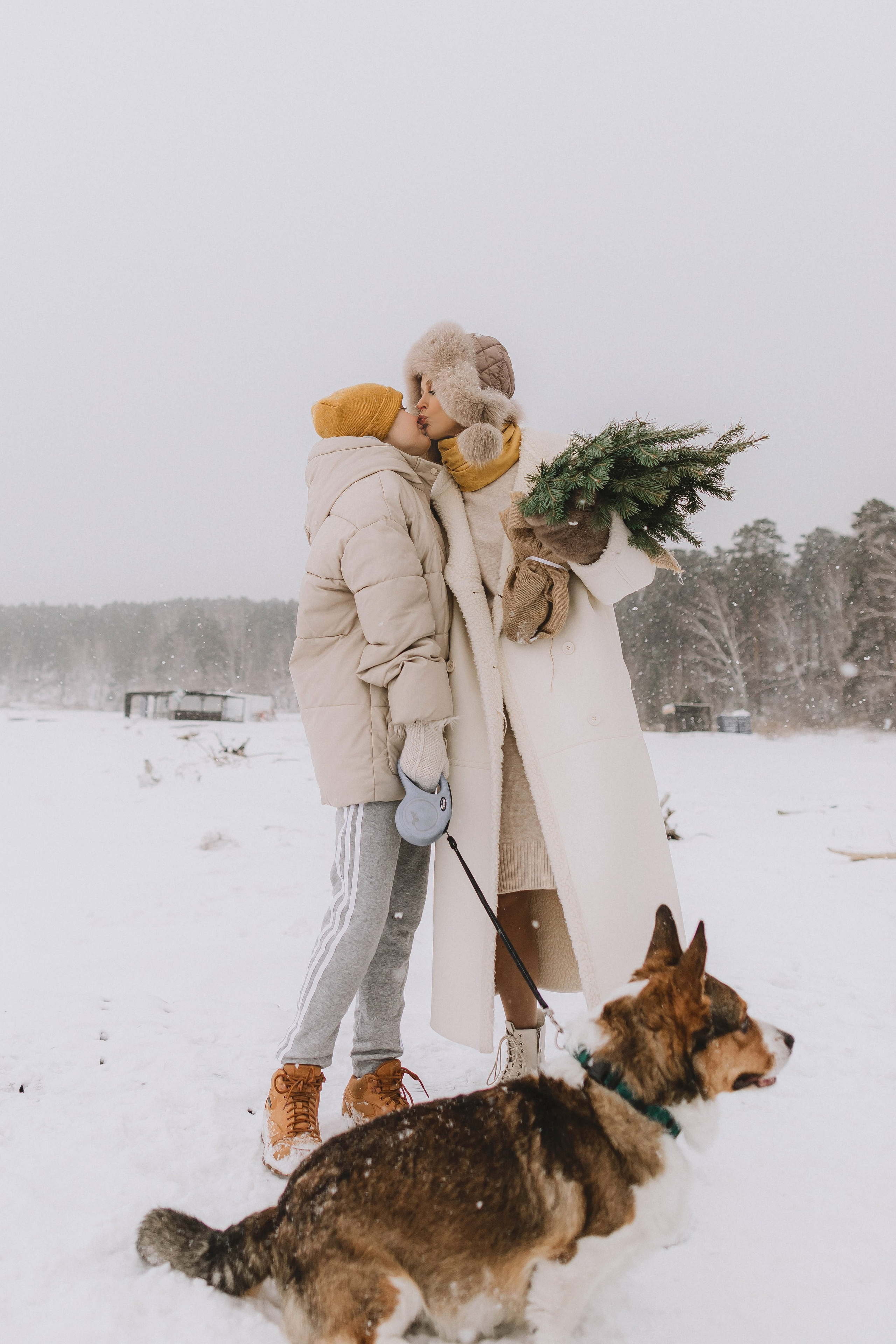 Семейная фотосессия с собакой корги на улице зимой, в снегу, новогодняя съемка.