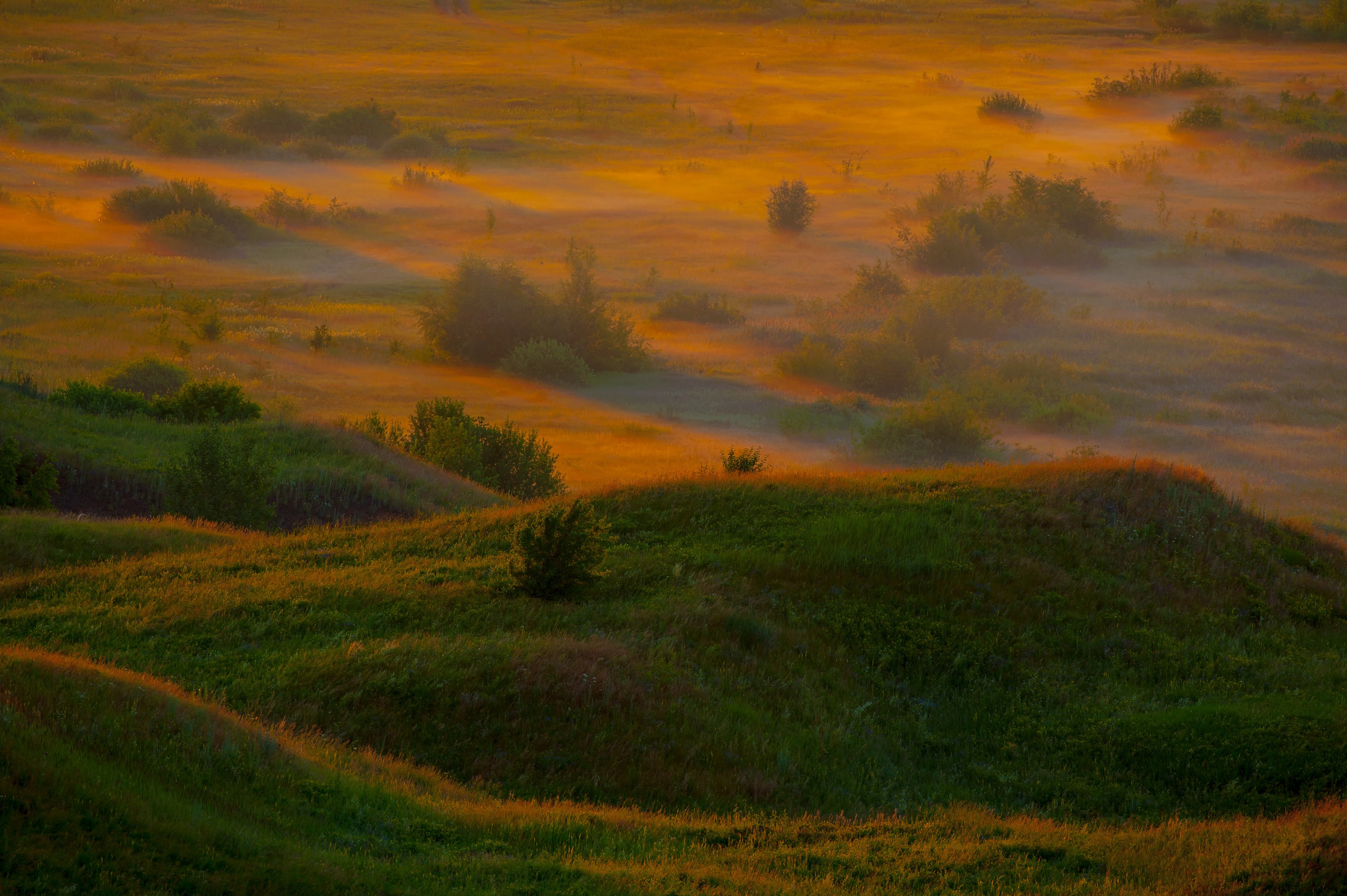 Аэросъемка. Репортажный фотограф в Ижевске Константин Ившин
