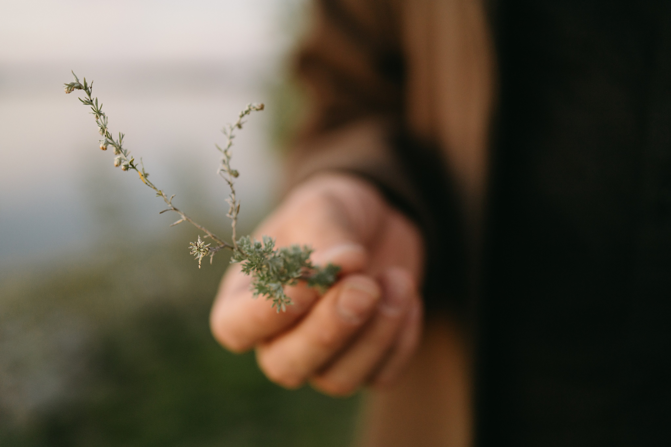Love in the fields. Свадебный и семейный фотограф. Озерск, Челябинск и Екатеринбург