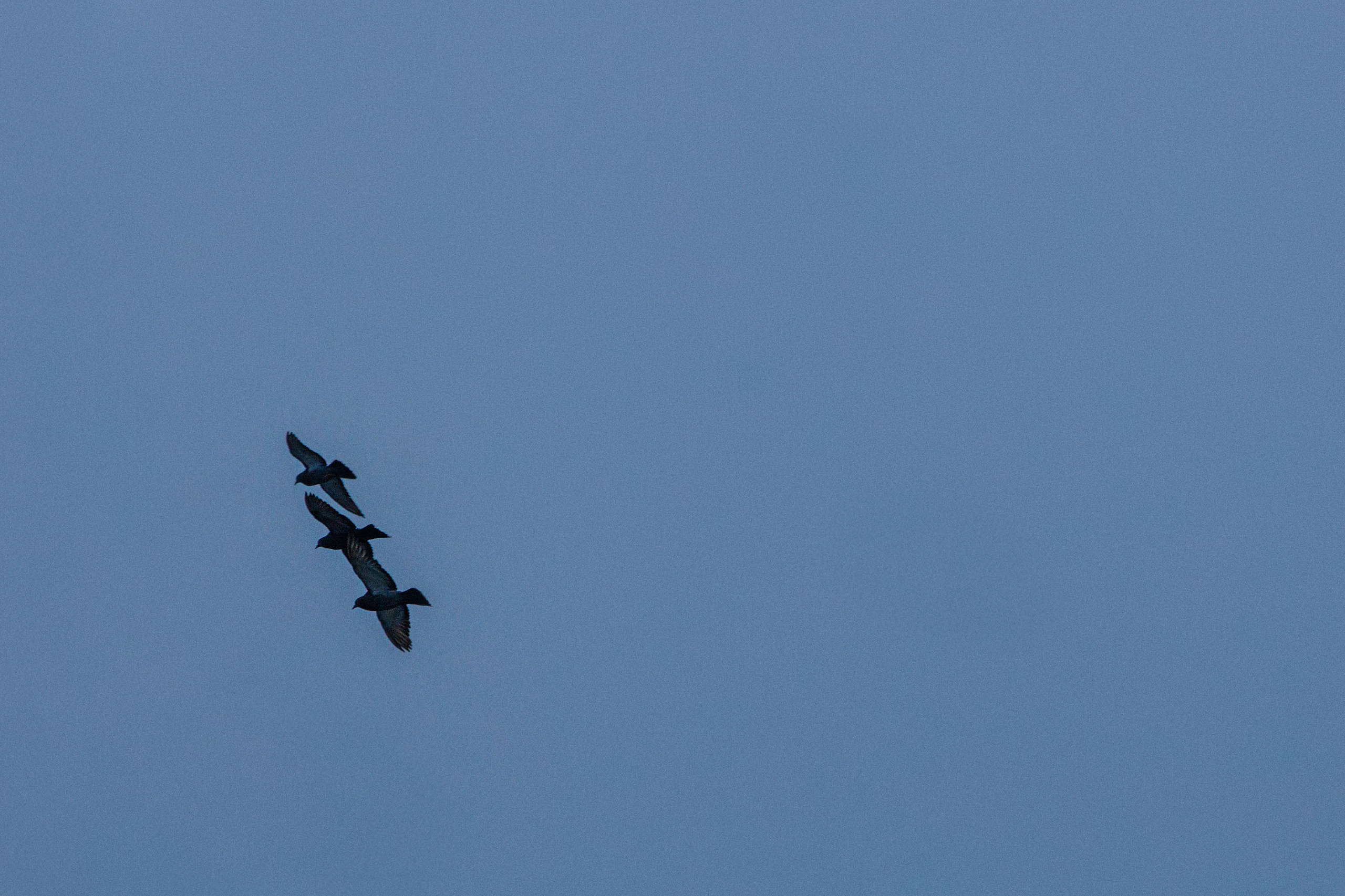 Проект «366»|2024|Фото каждый день. LENA GRACE photographer ||ЛЕНА ГРЭЙС фотограф