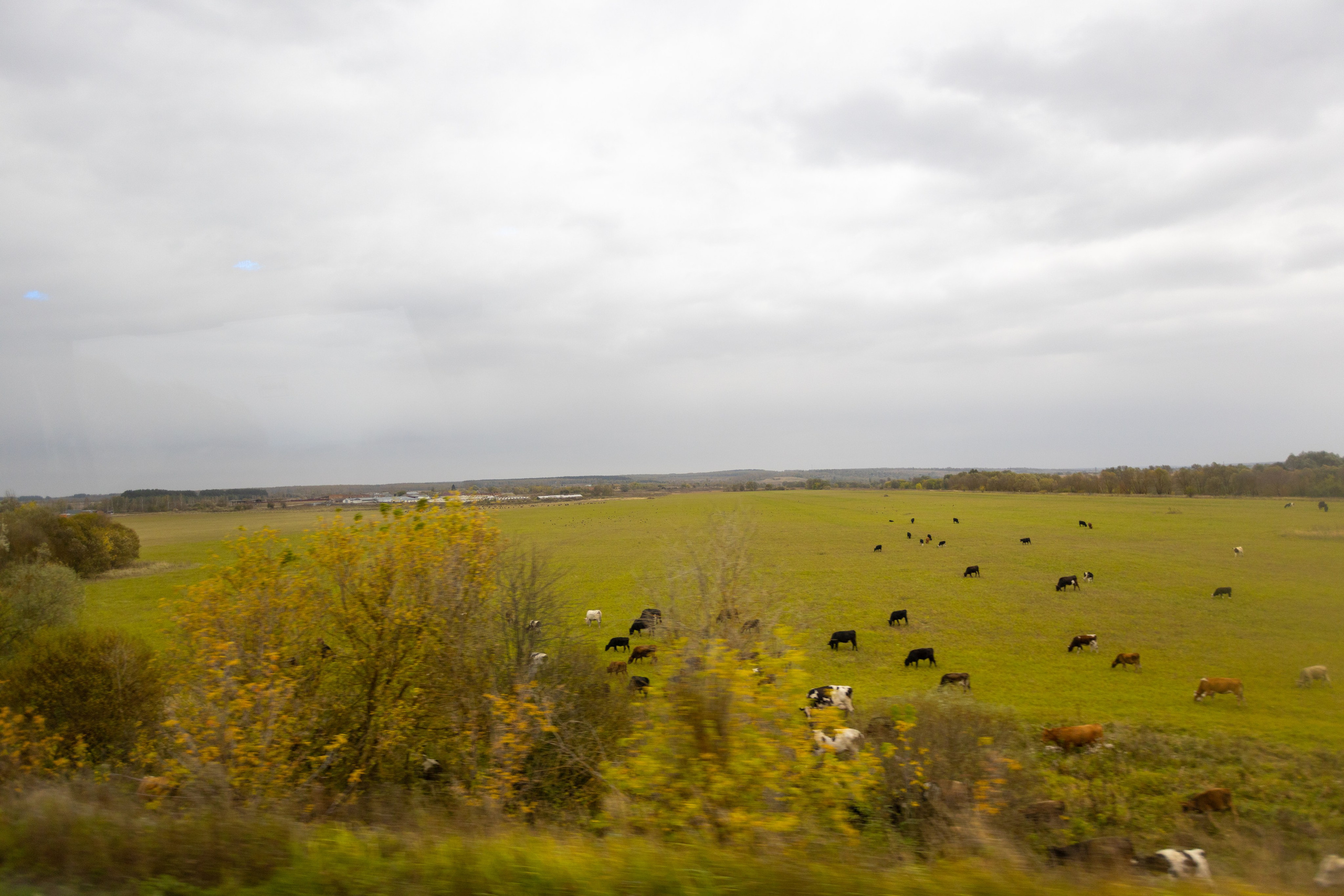 Поездка в Белев и на производство пастилы. Фотограф в Туле Крупский АнДРей. Фотостудия «КАДР71» в Туле