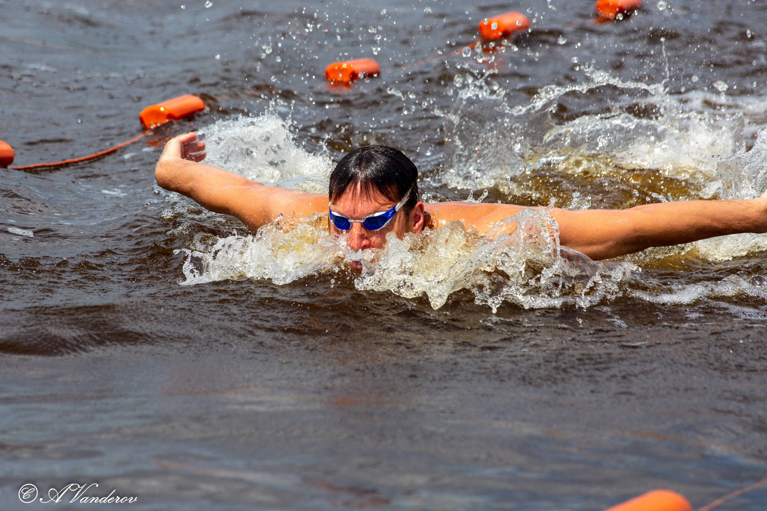 Заплыв 02.06.2024. Фотограф Омск | Александр Вандеров