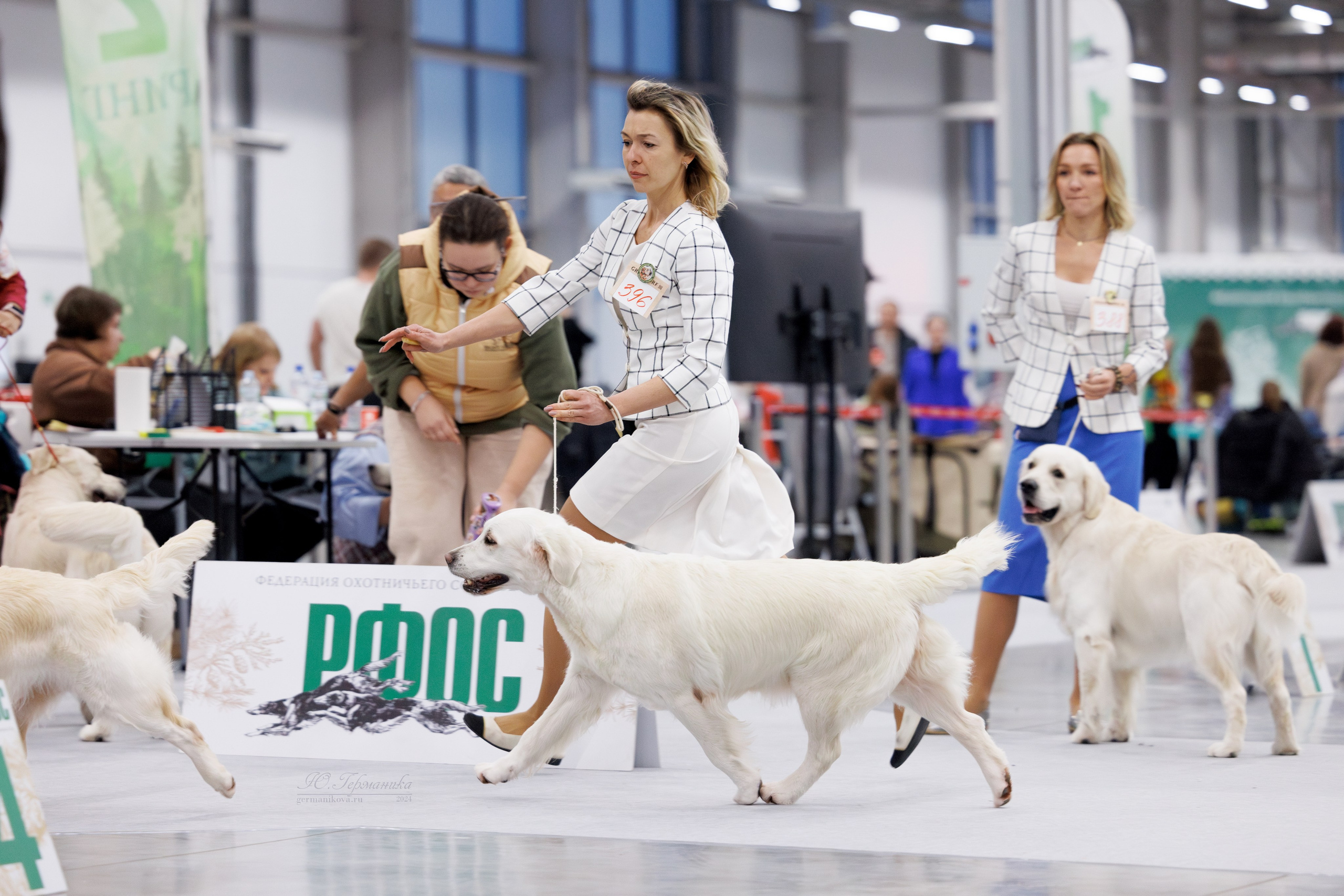 Казань Зилант 30-01.12 2024. Фотограф-анималист Юлия Германика