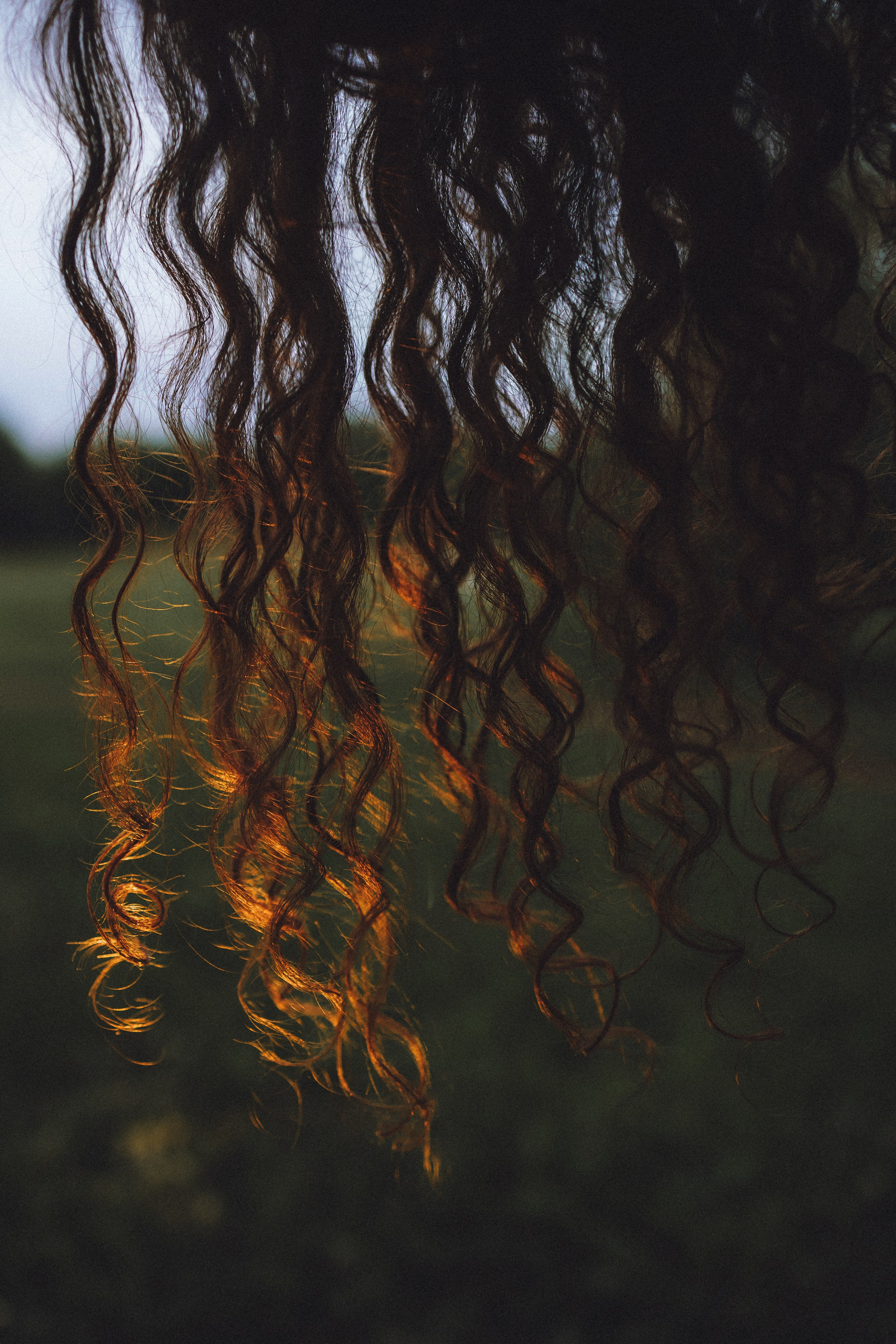 Даша и Дэзи