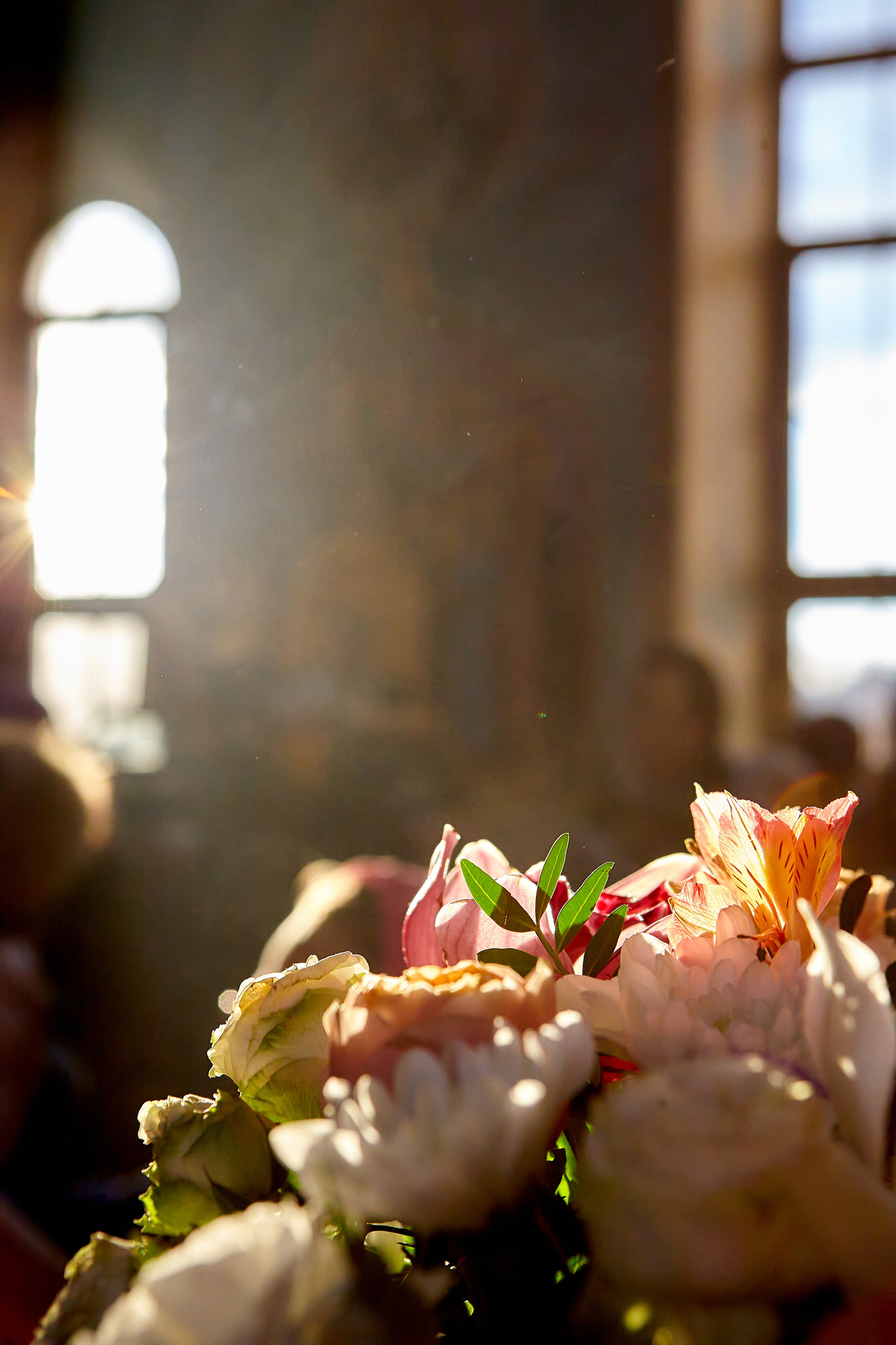 Фотографии природы