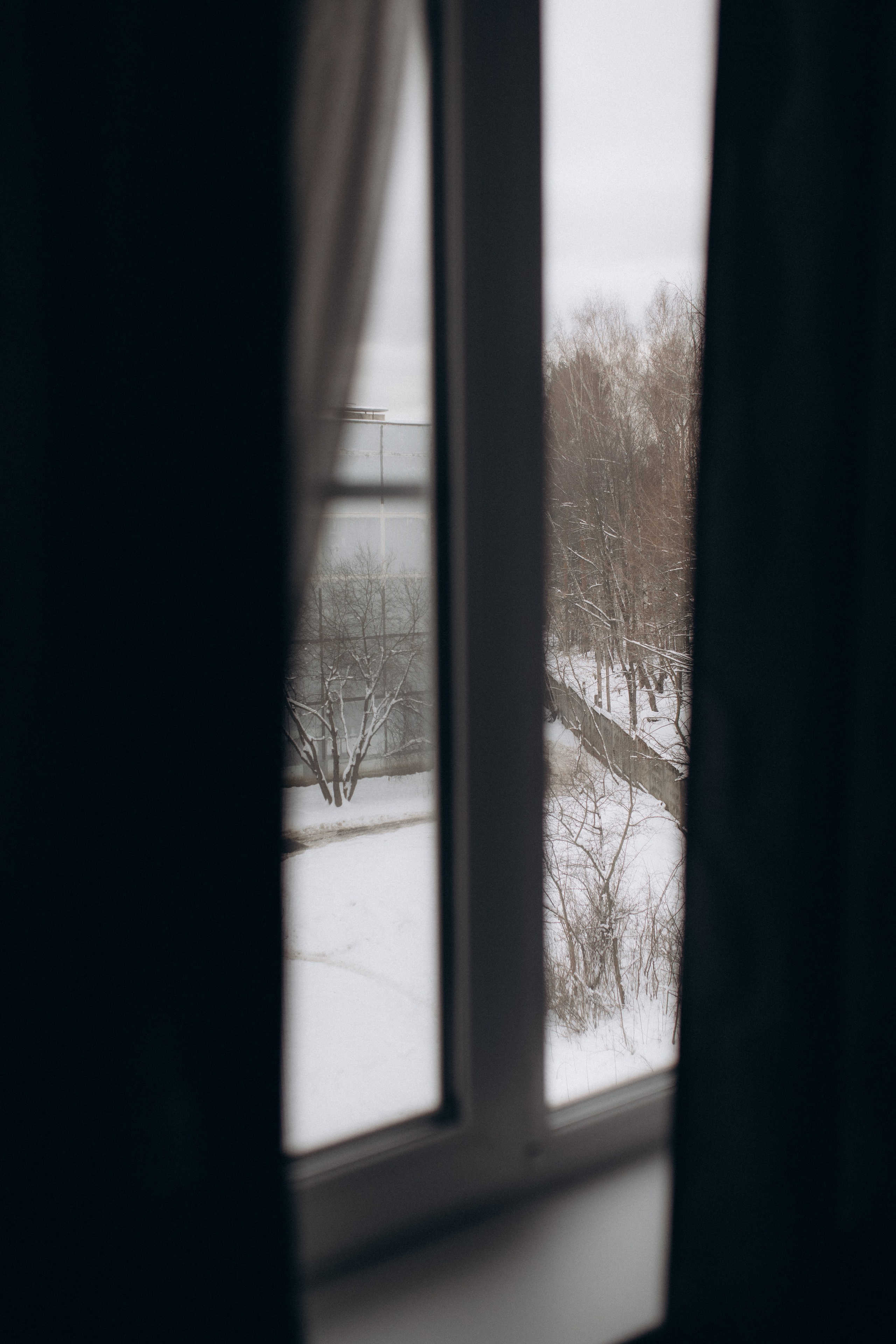 Василиса. Семейный фотограф в Москве и Люберцах Юлия Гуськова