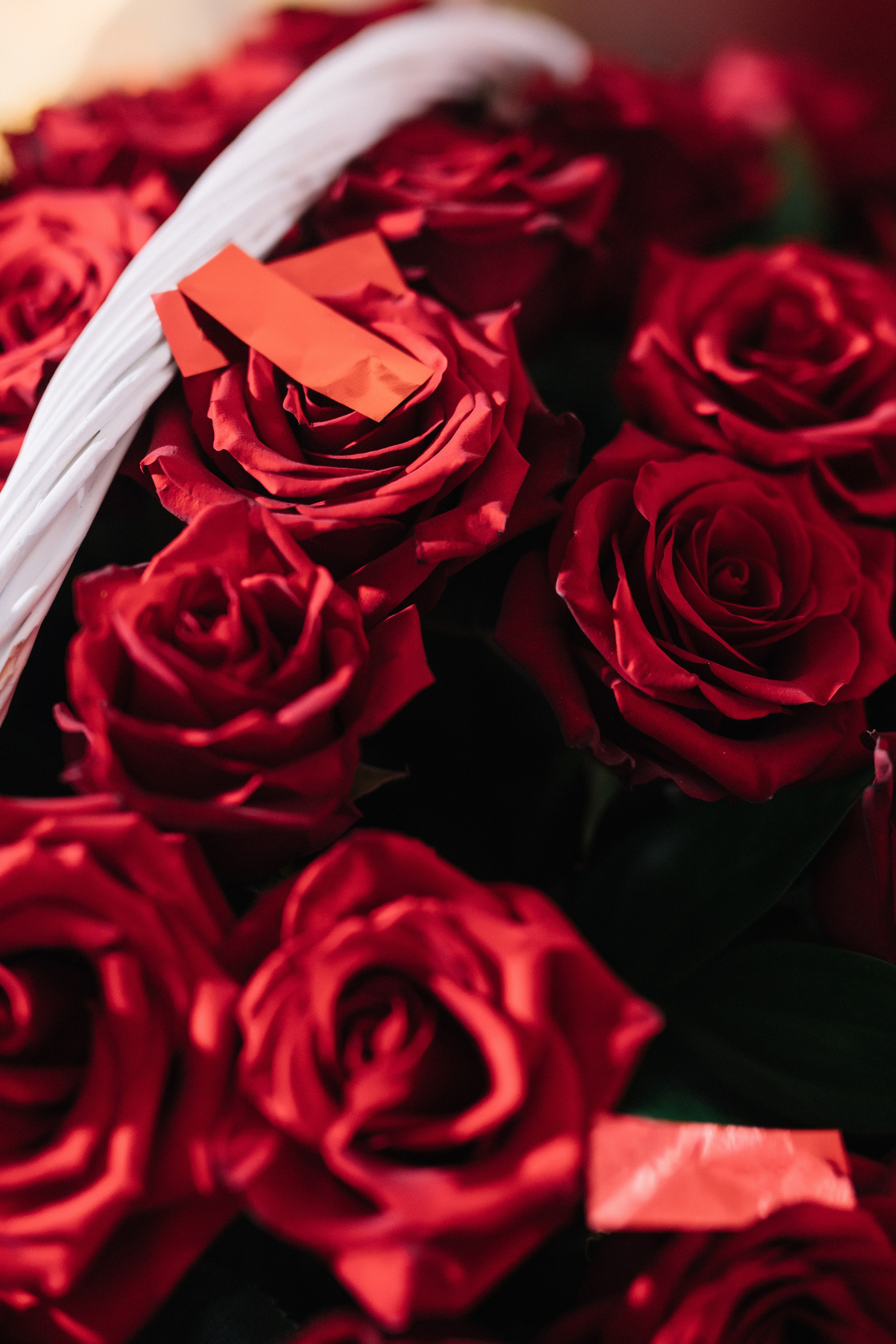 Максим и Алина. Свадебный фотограф в Краснодаре Булатова Наталия