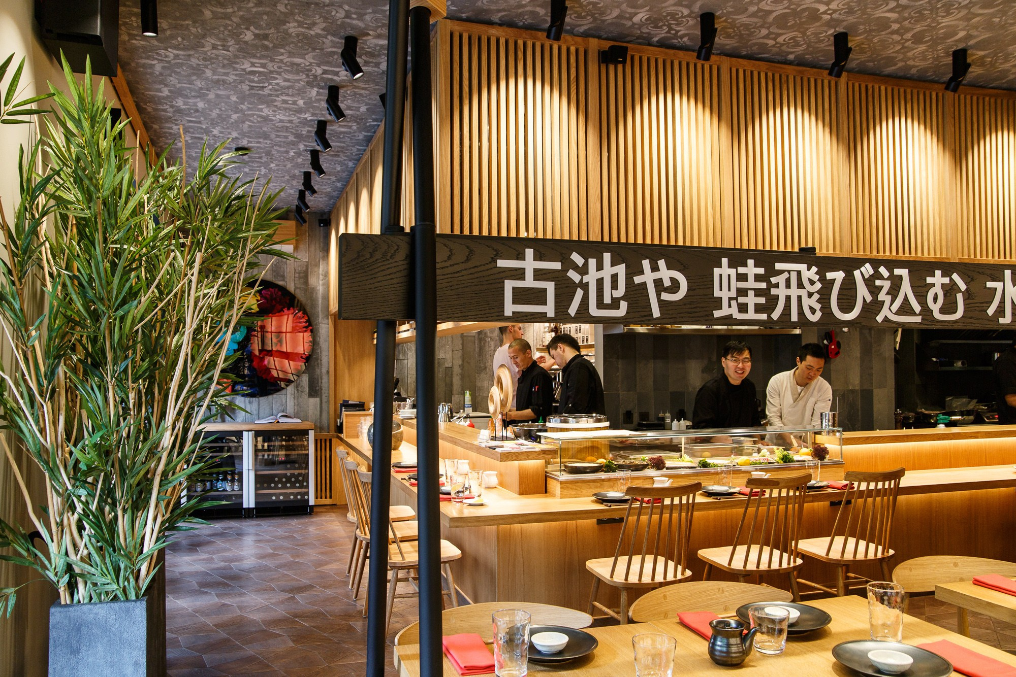 Shiba. Фотограф Ксения Колесникова. Интерьерная и портретная съемка в Москве