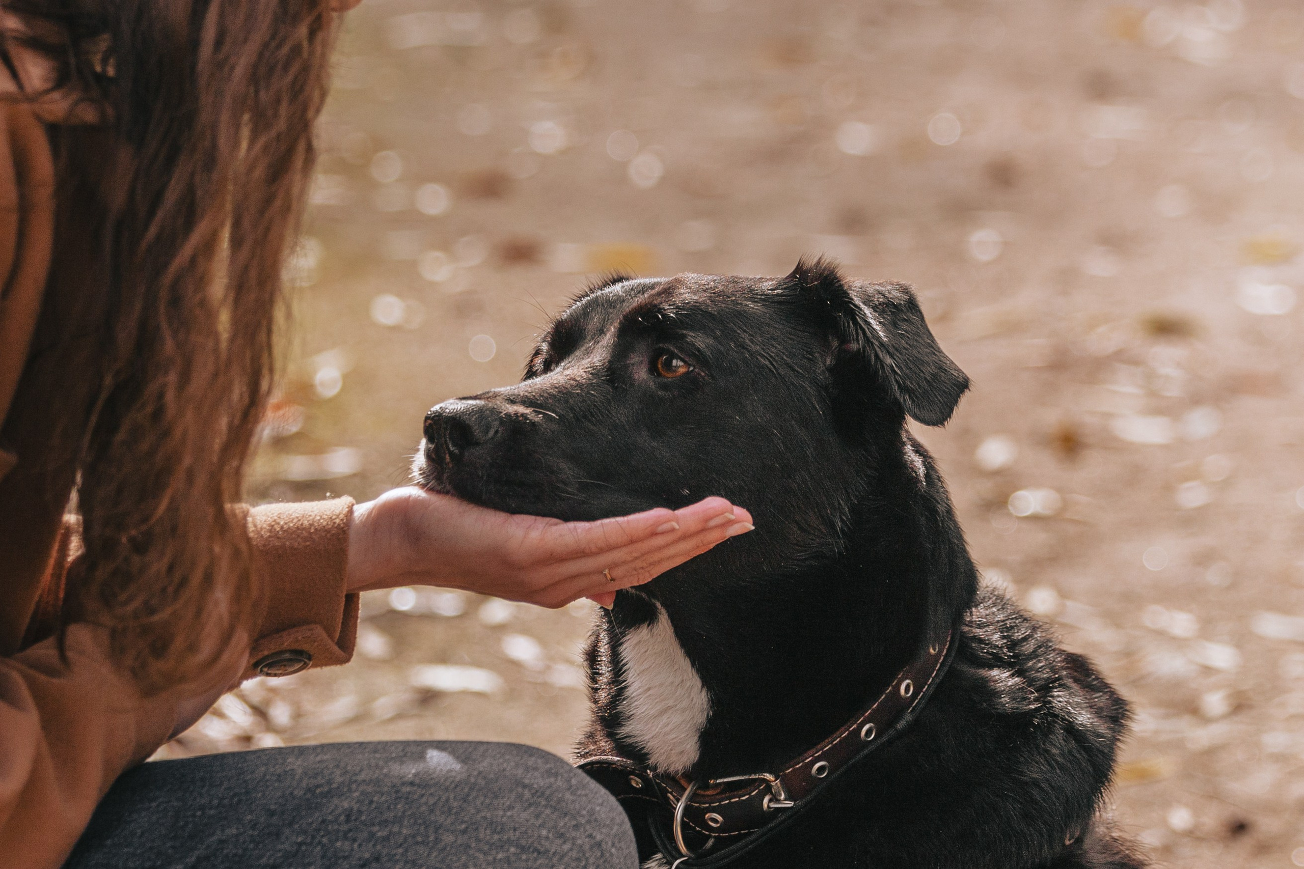 Юля и Фортуна. Фотограф-анималист Татьяна Степанова