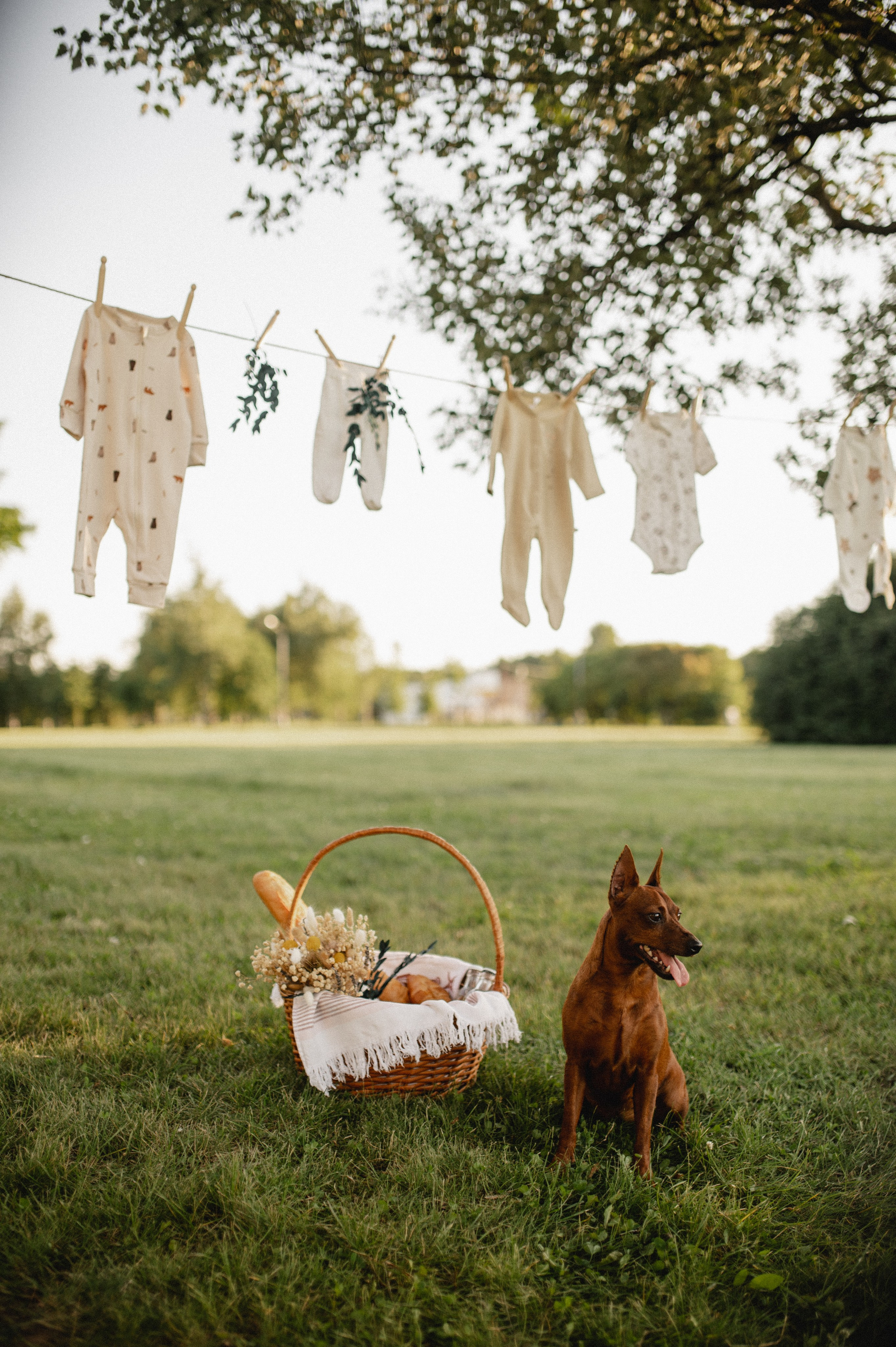 Фотосессия беременности на природе в парке Москвы. Семейная фотосессия Бутово Москва фотограф Алина Морщагина
