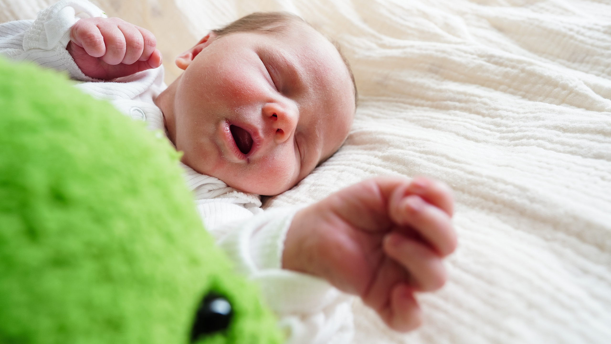 Вера. Семейный и детский фотограф в Москве (Тинао) Галкина Алевтина