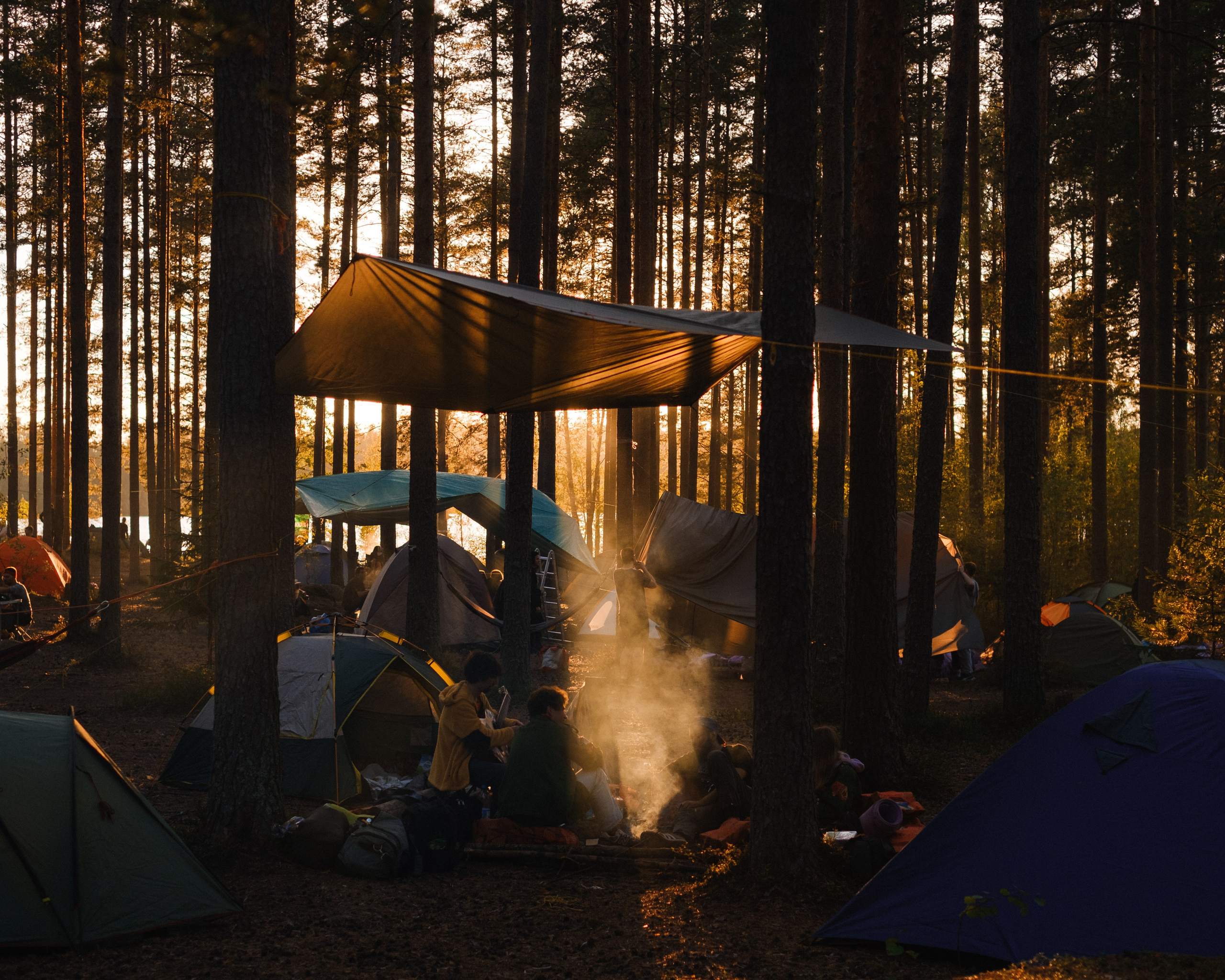 Осеннее заходское | 2024