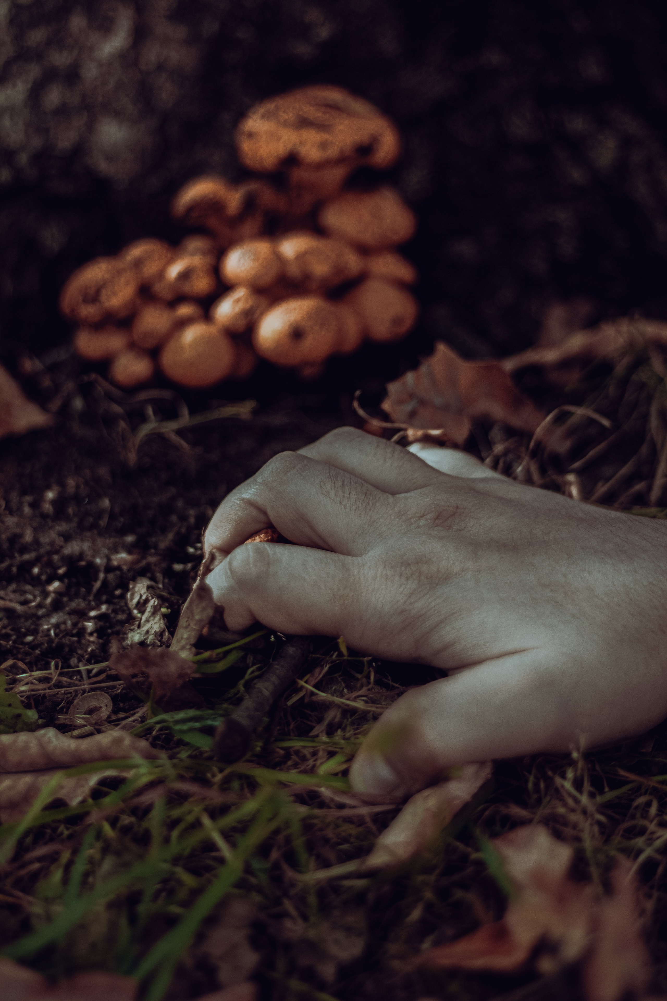 По мотивам убийства. В парке. Фотограф Москва, портрет, стрит, репортаж. Художественная фотосессия