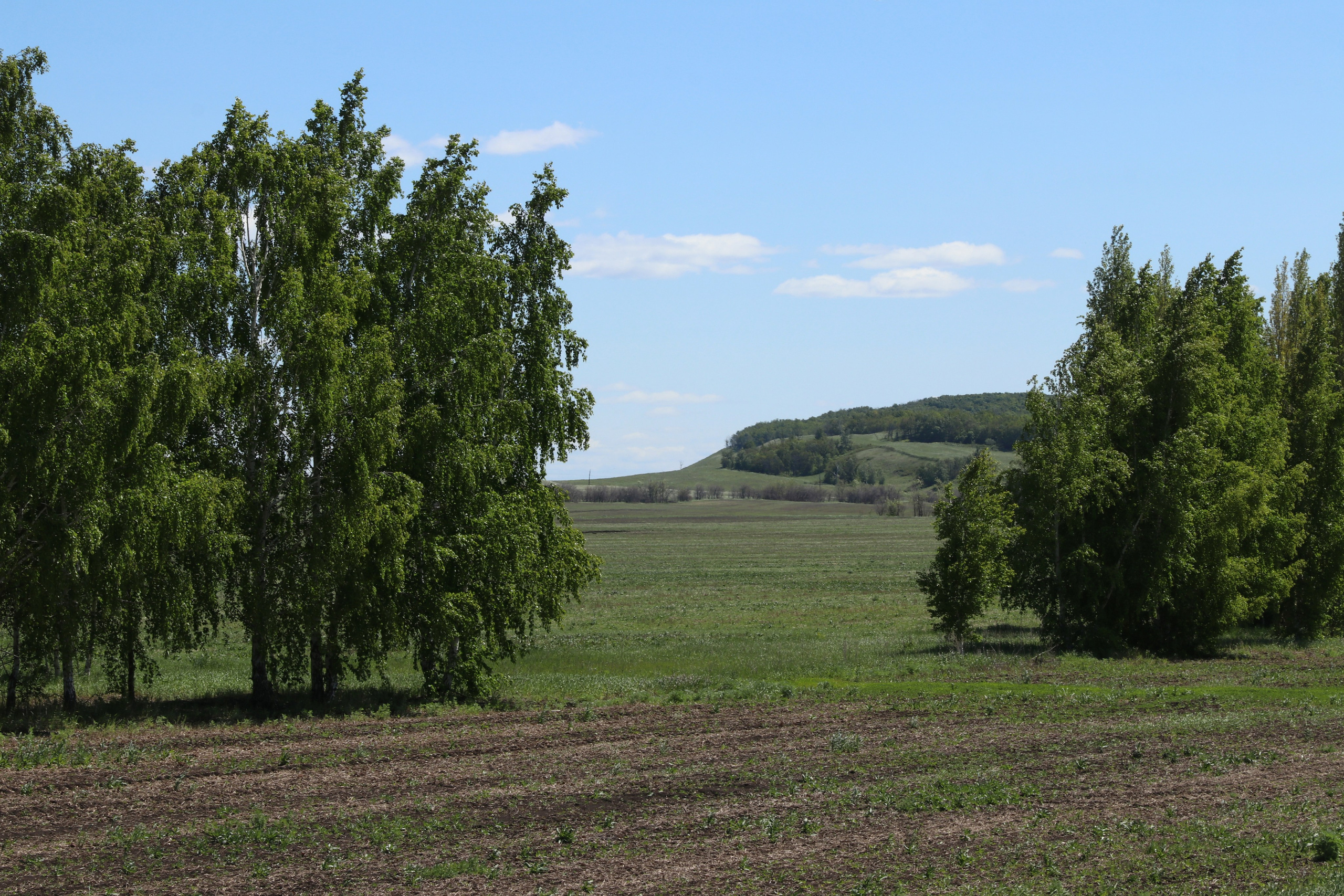 Велопоход Уфа — Мелеуз. Май 2024. Путешественник-фотограф из Санкт-Петербурга Татьяна Свистулина