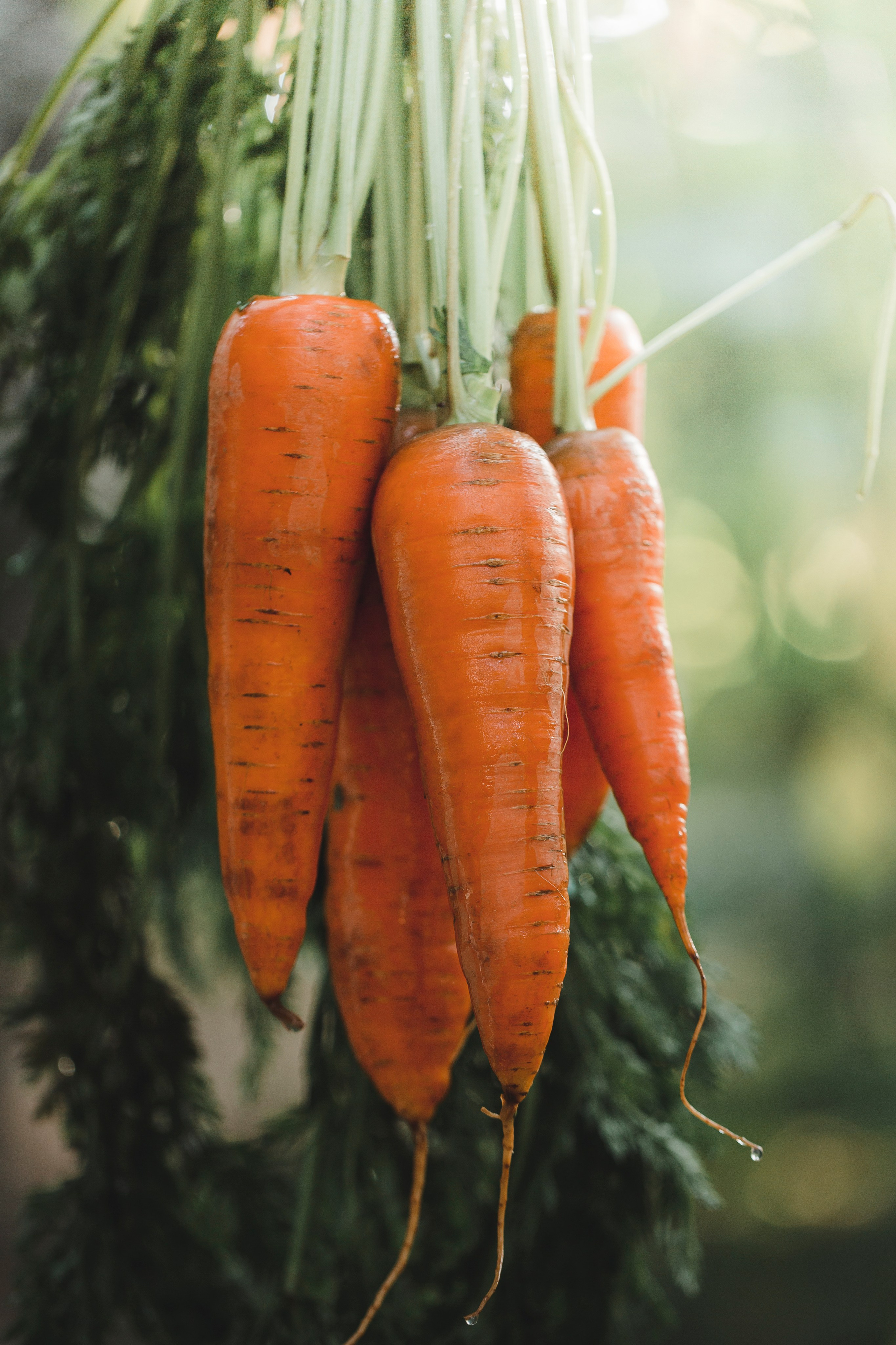 Журнальная осень