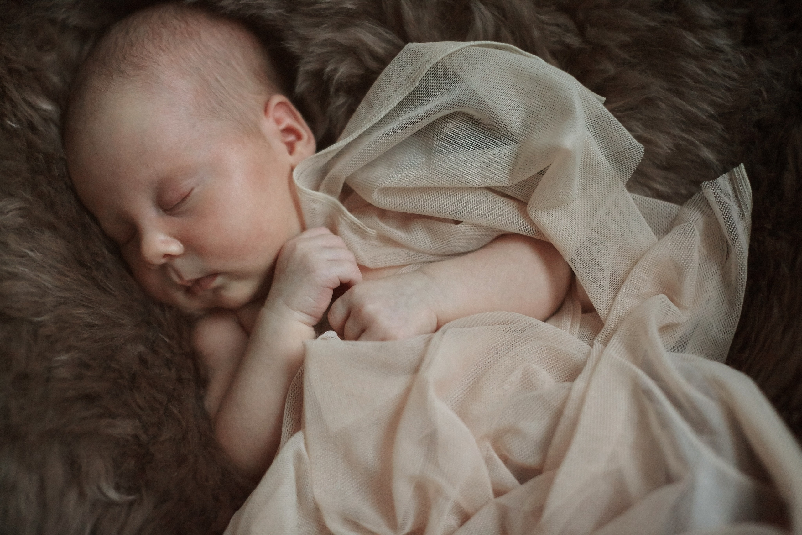 Есения. Фотограф Ольга Ефремова