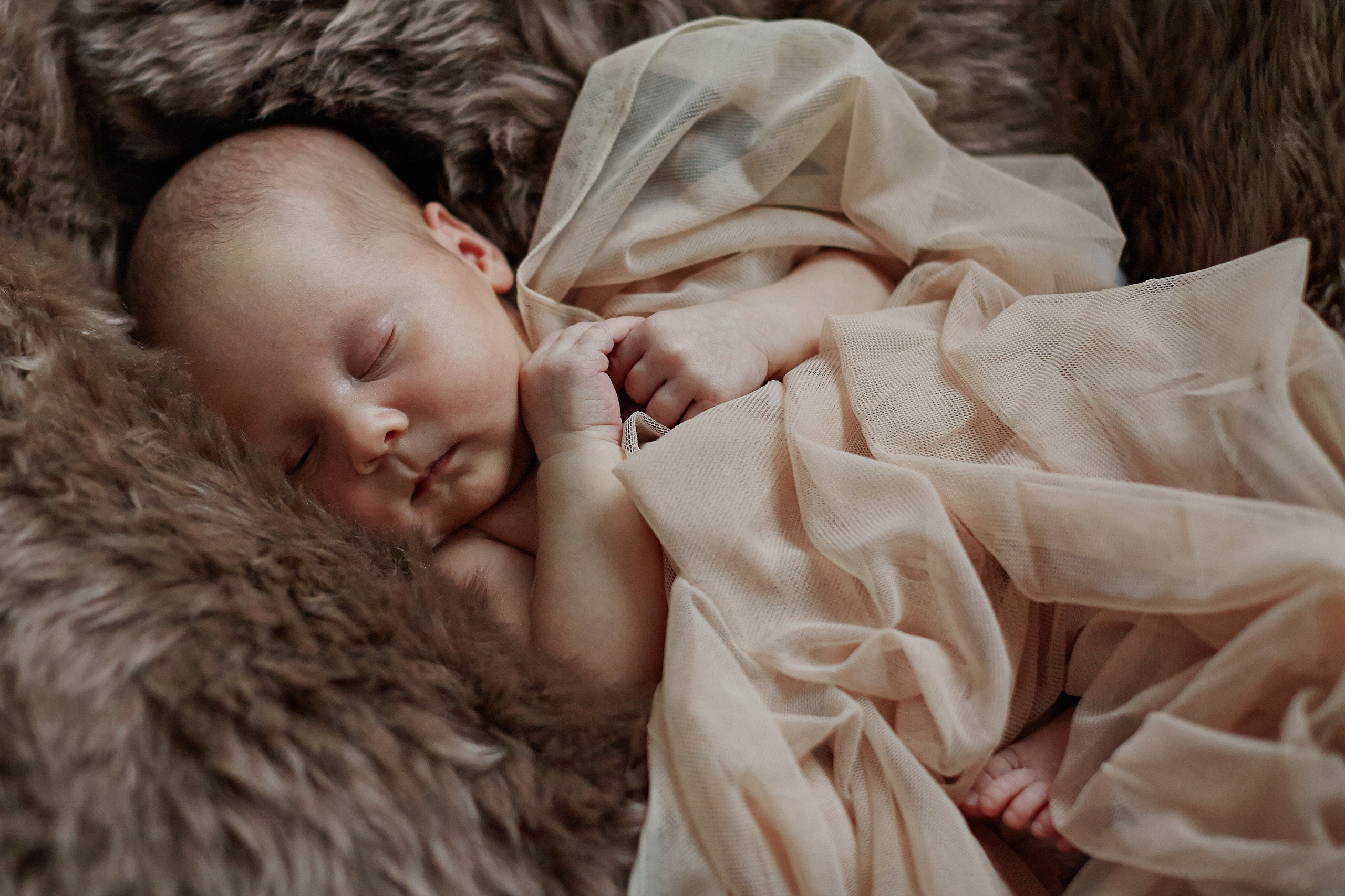 Есения. Фотограф Ольга Ефремова