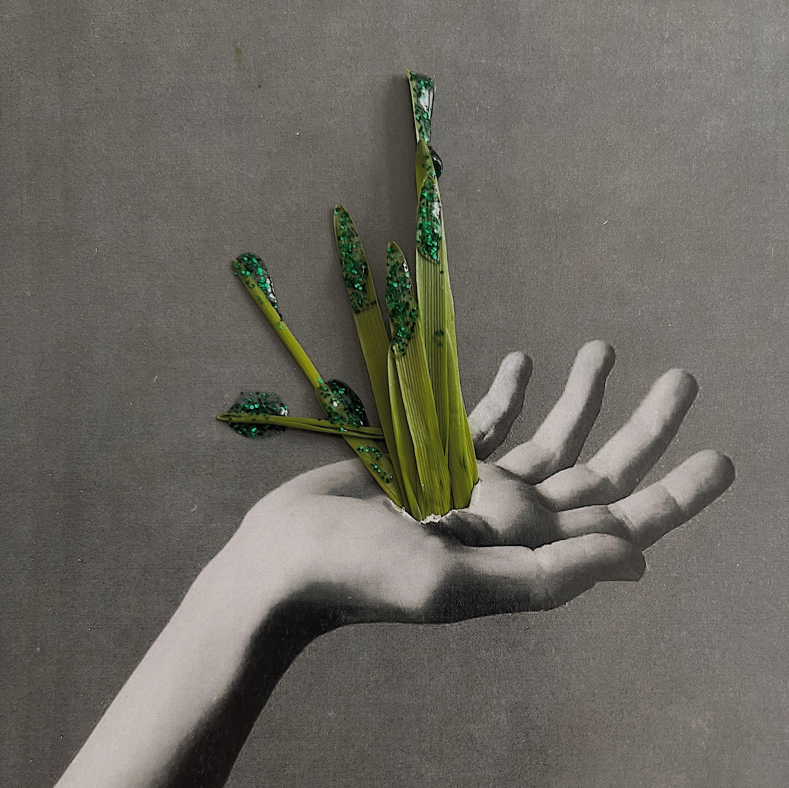 Эстетизация повседневности. Маша Иванова —