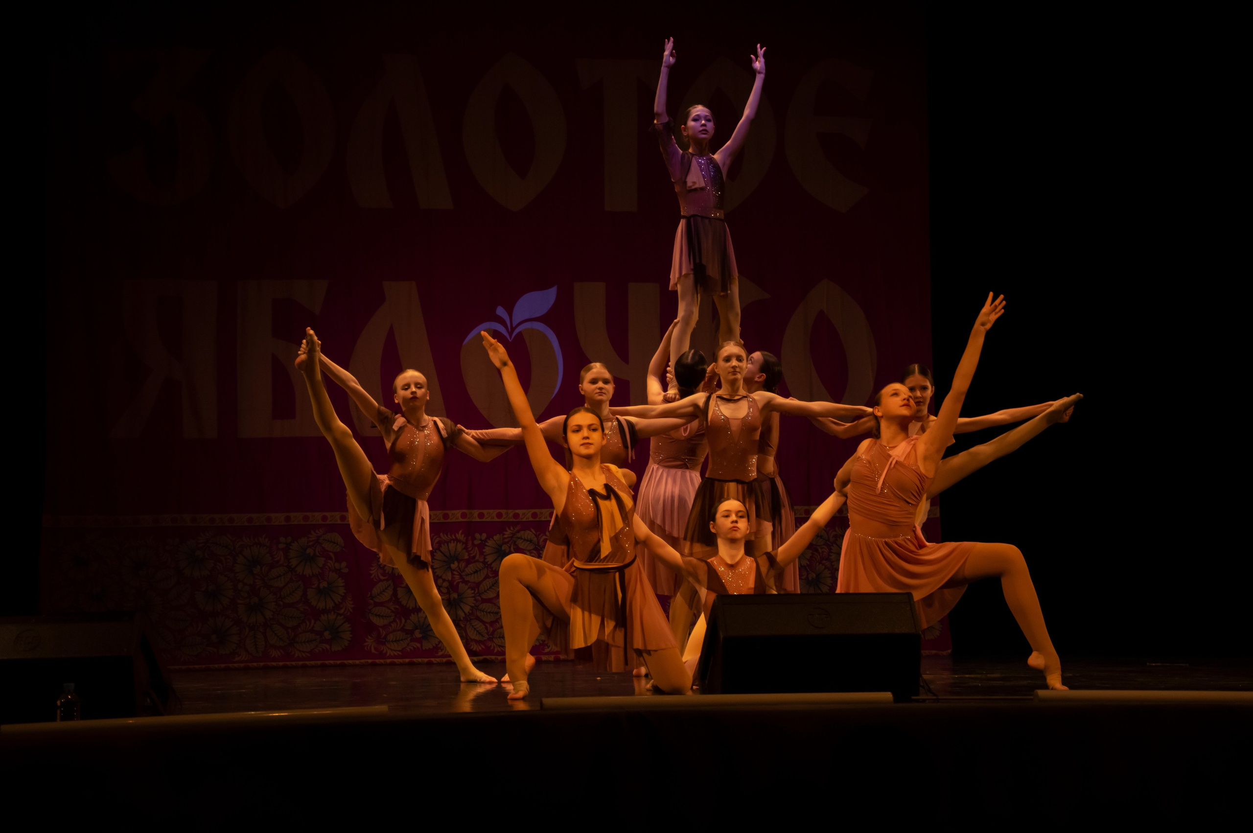 15 февраля, г. Калининград. Золотое яблочко