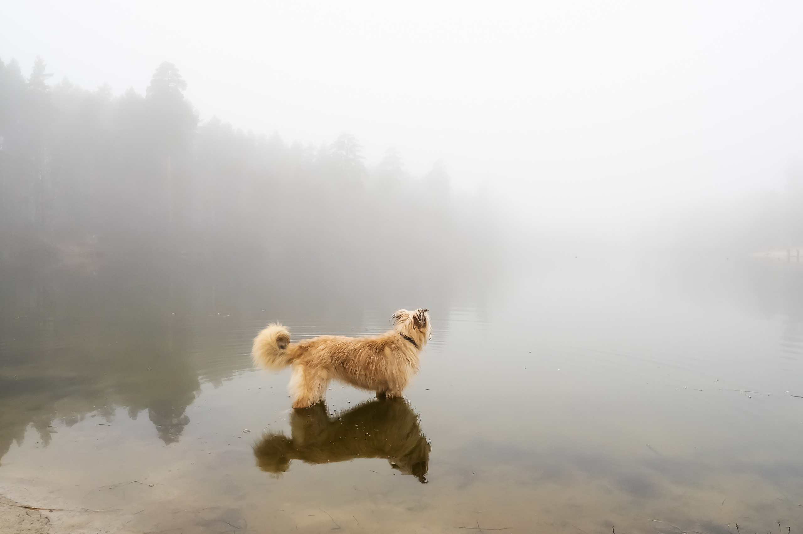 Красота Заречного. Репортажный, семейный и детский фотограф в Пензе и Заречном Арина Ермилова. Картины барельеф на заказ
