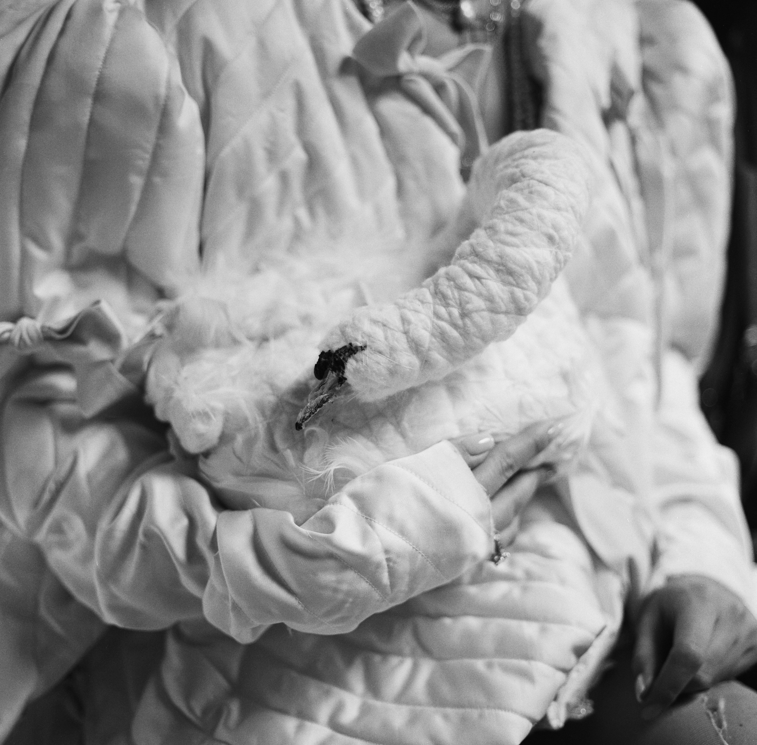 А ЛЯ РУСС. Хорошие фотографии в Красноярске