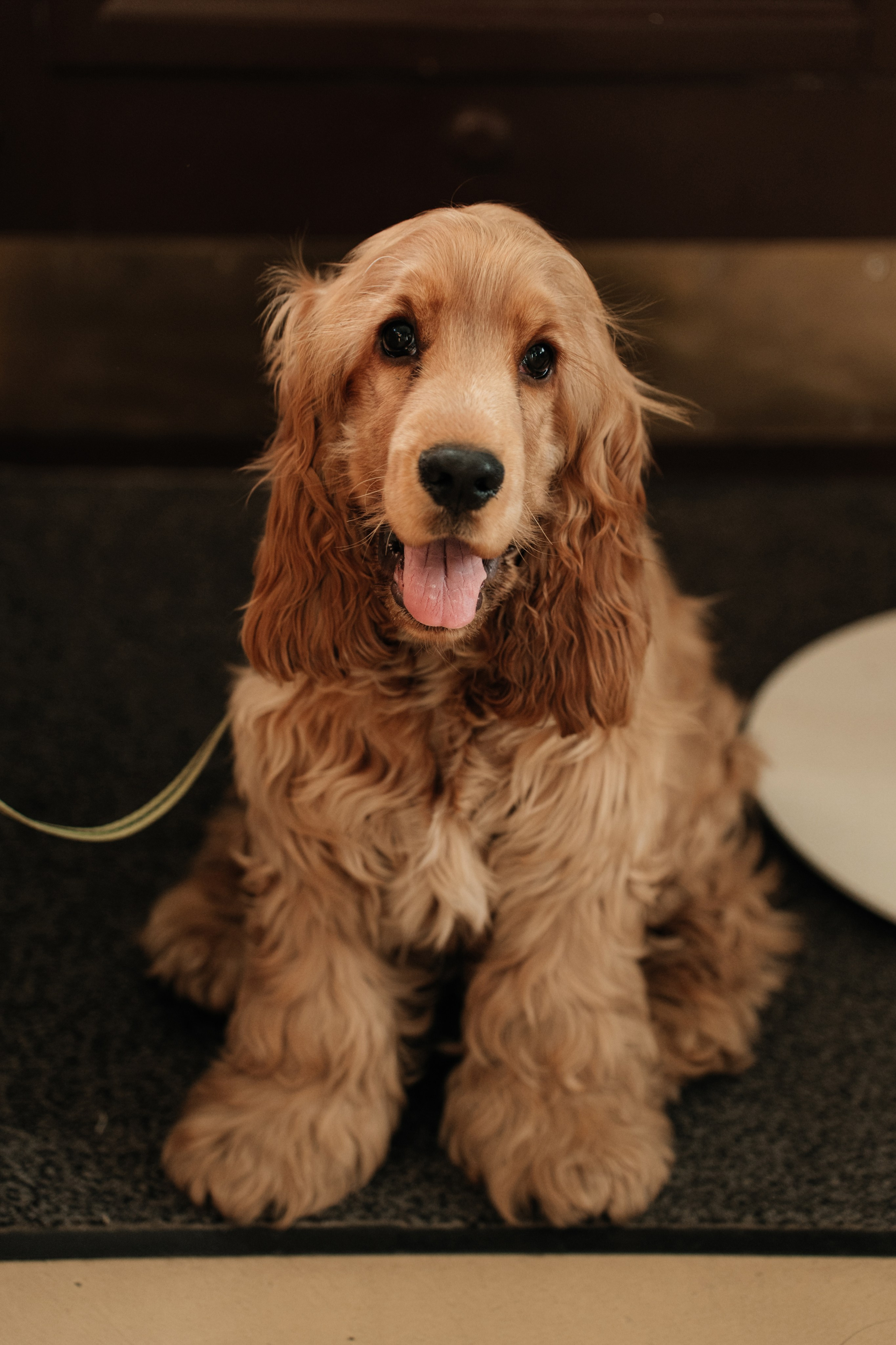 Ресторан Домик в саду, ВДНХ. Свадебный фотограф Москва Александра Аверкова