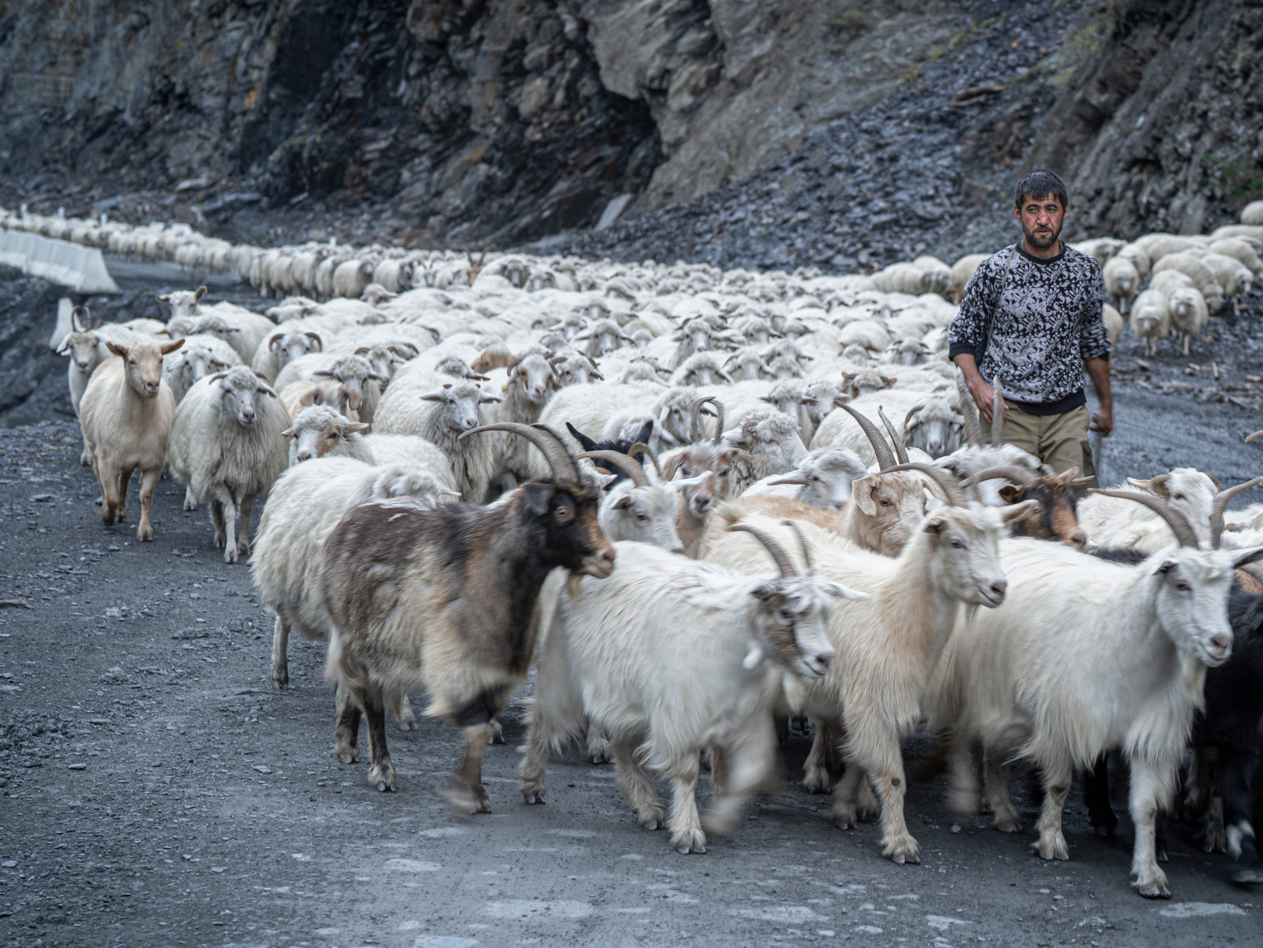 Дагестан (октябрь 2021). Фотограф Сергей Танков